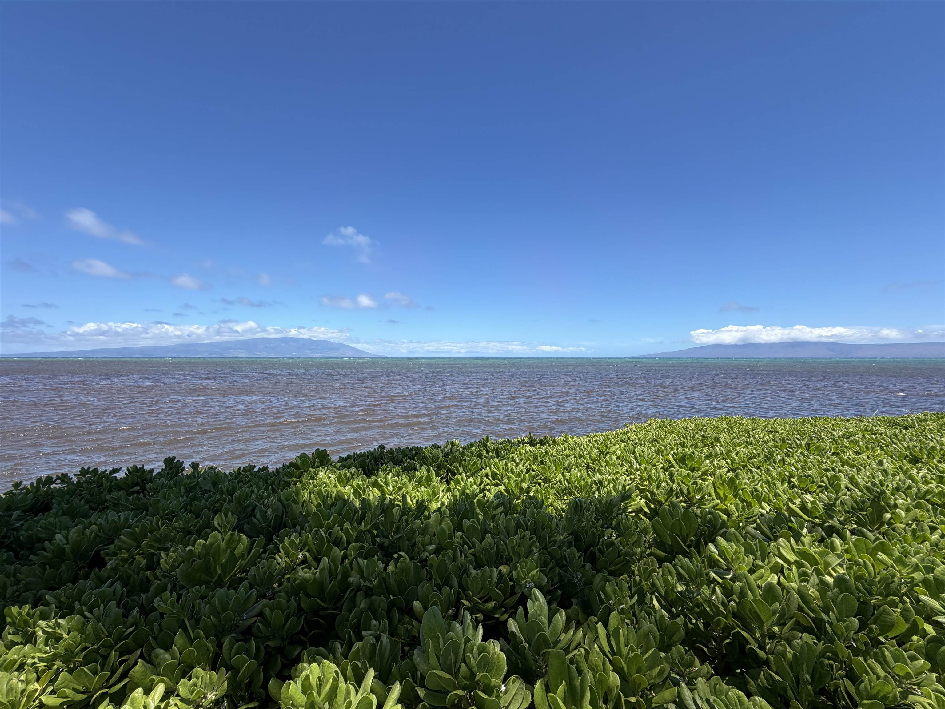 Wavecrest condo # A115, Kaunakakai, Hawaii - photo 2 of 33