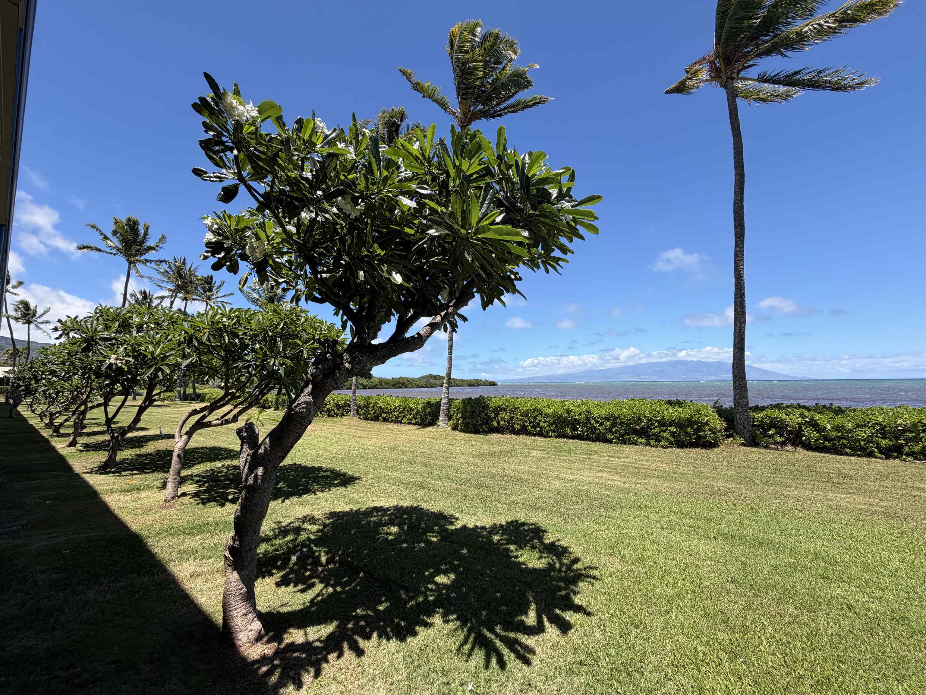 Wavecrest condo # A115, Kaunakakai, Hawaii - photo 3 of 33