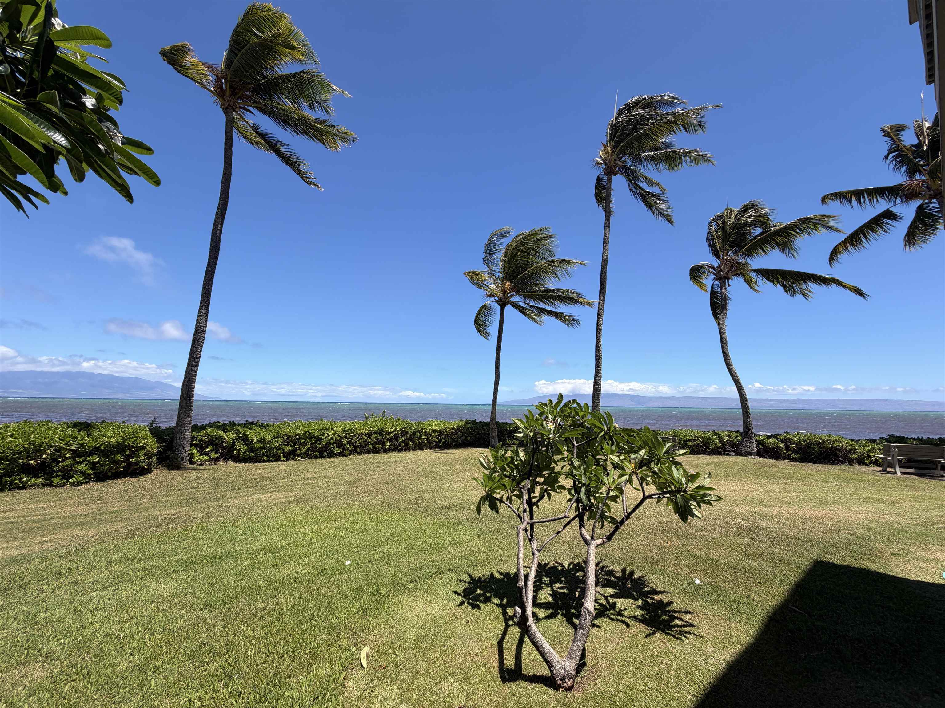 Wavecrest condo # A115, Kaunakakai, Hawaii - photo 4 of 33