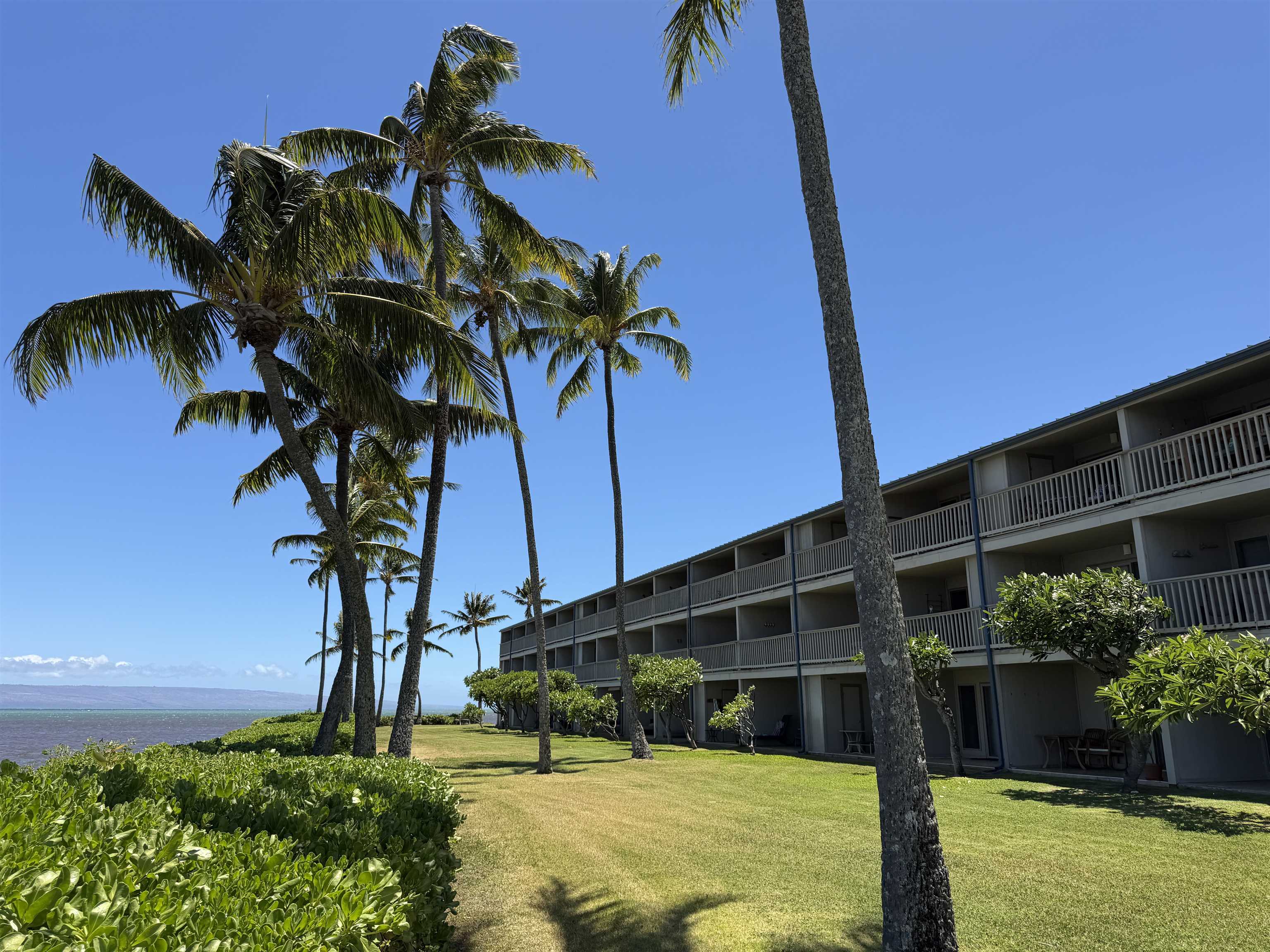 Wavecrest condo # A115, Kaunakakai, Hawaii - photo 7 of 33