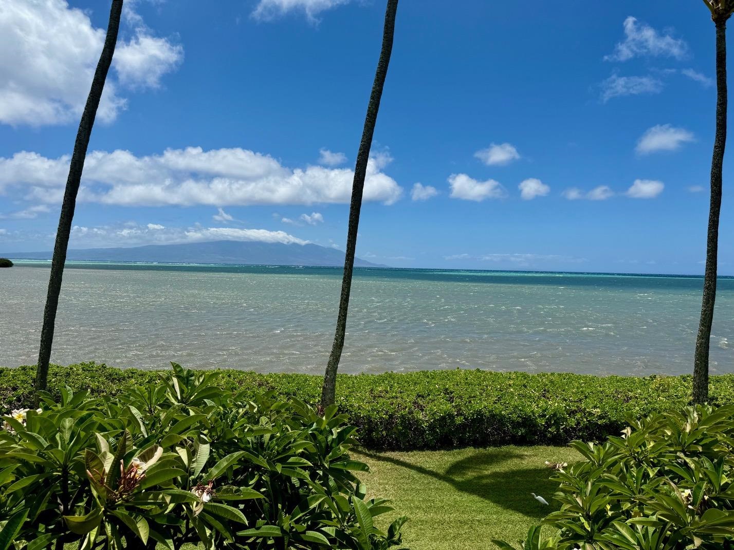 Wavecrest condo # A213, Kaunakakai, Hawaii - photo 14 of 26