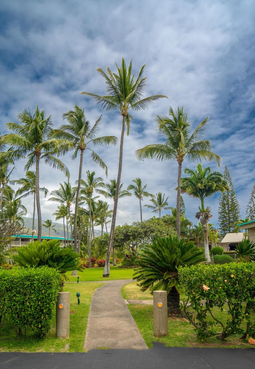 Wavecrest condo # A213, Kaunakakai, Hawaii - photo 24 of 26