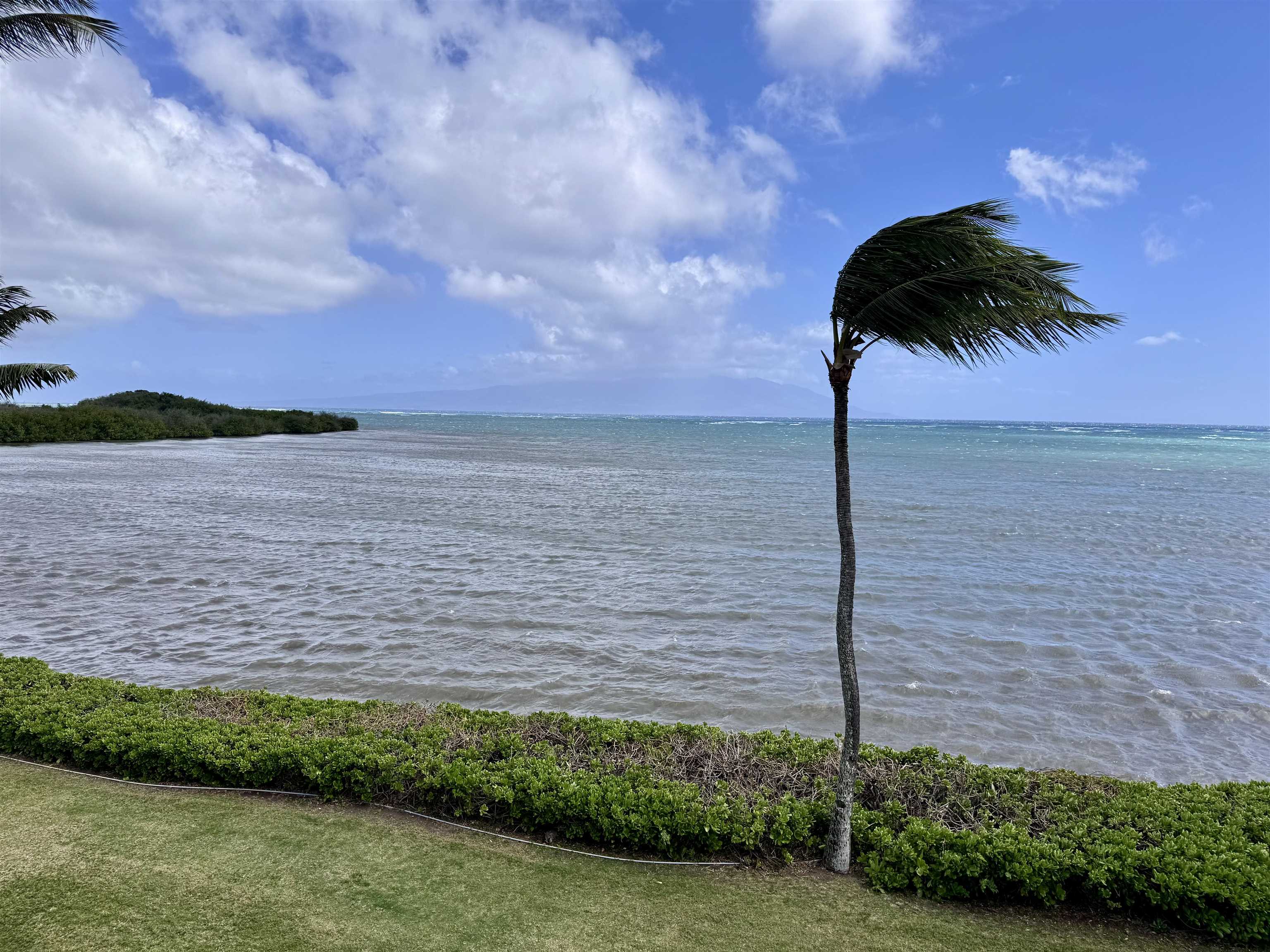 Wavecrest condo # A308, Kaunakakai, Hawaii - photo 24 of 26