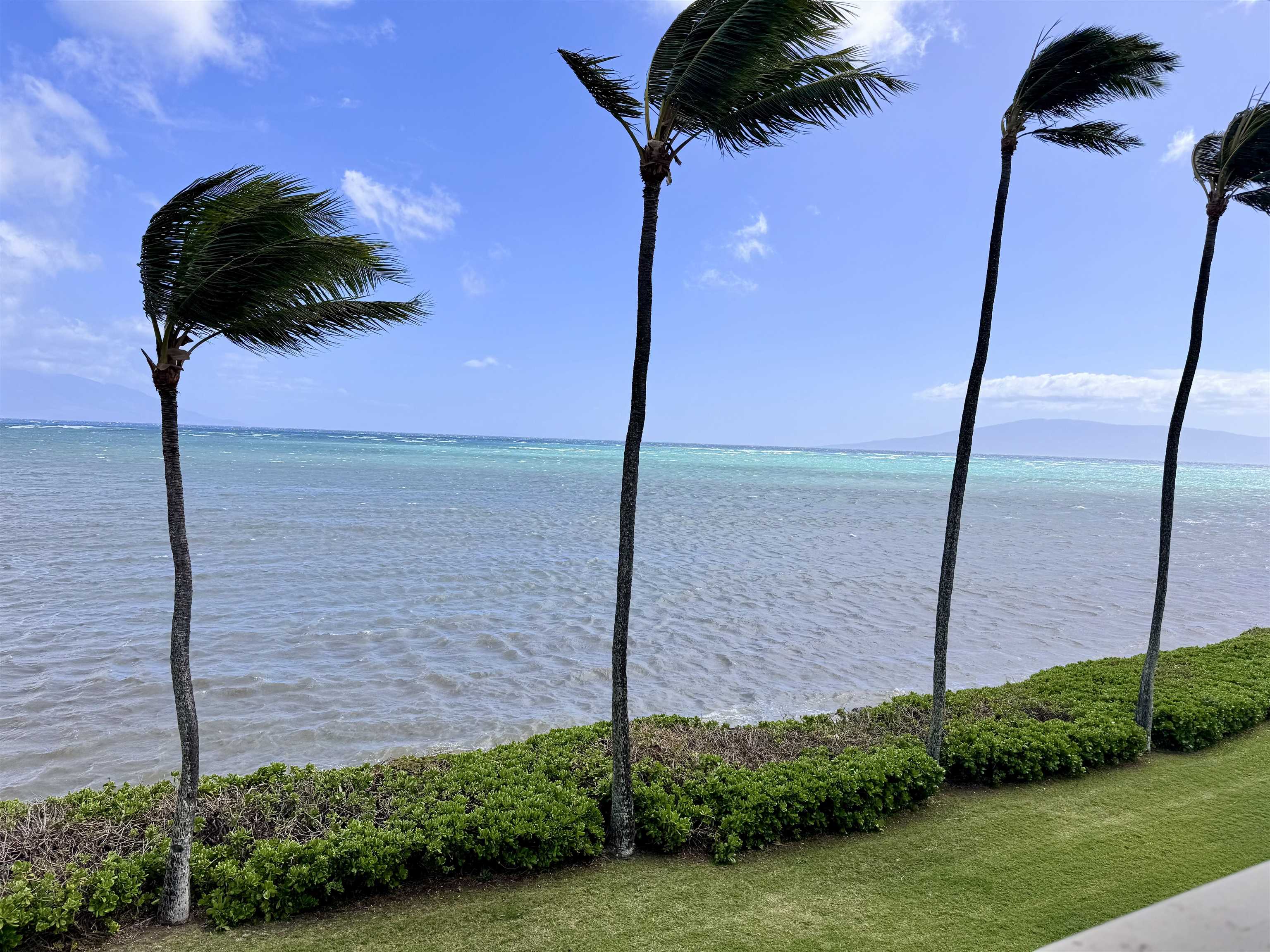 Wavecrest condo # A308, Kaunakakai, Hawaii - photo 25 of 26