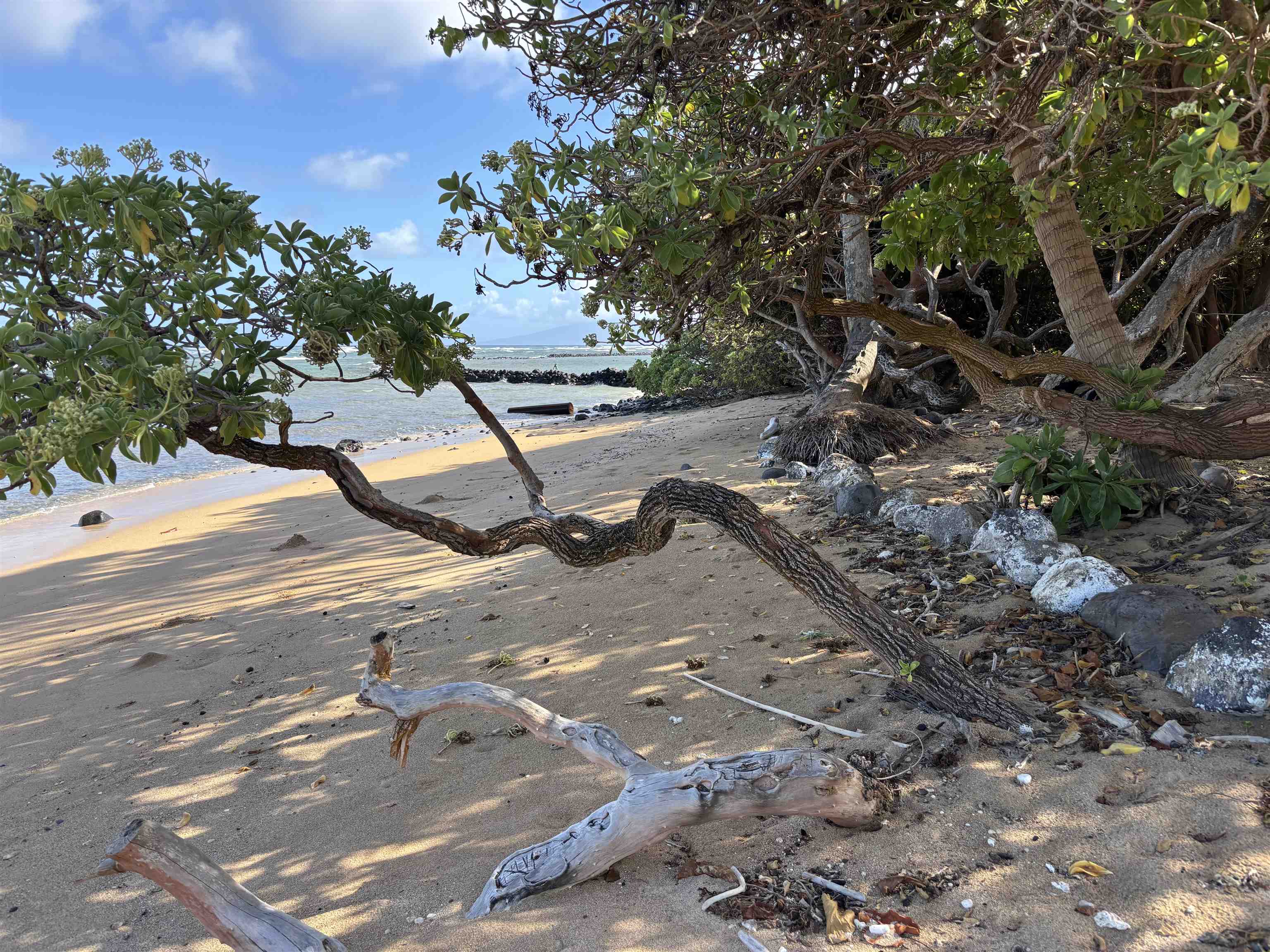 Wavecrest condo # B102, Kaunakakai, Hawaii - photo 15 of 17