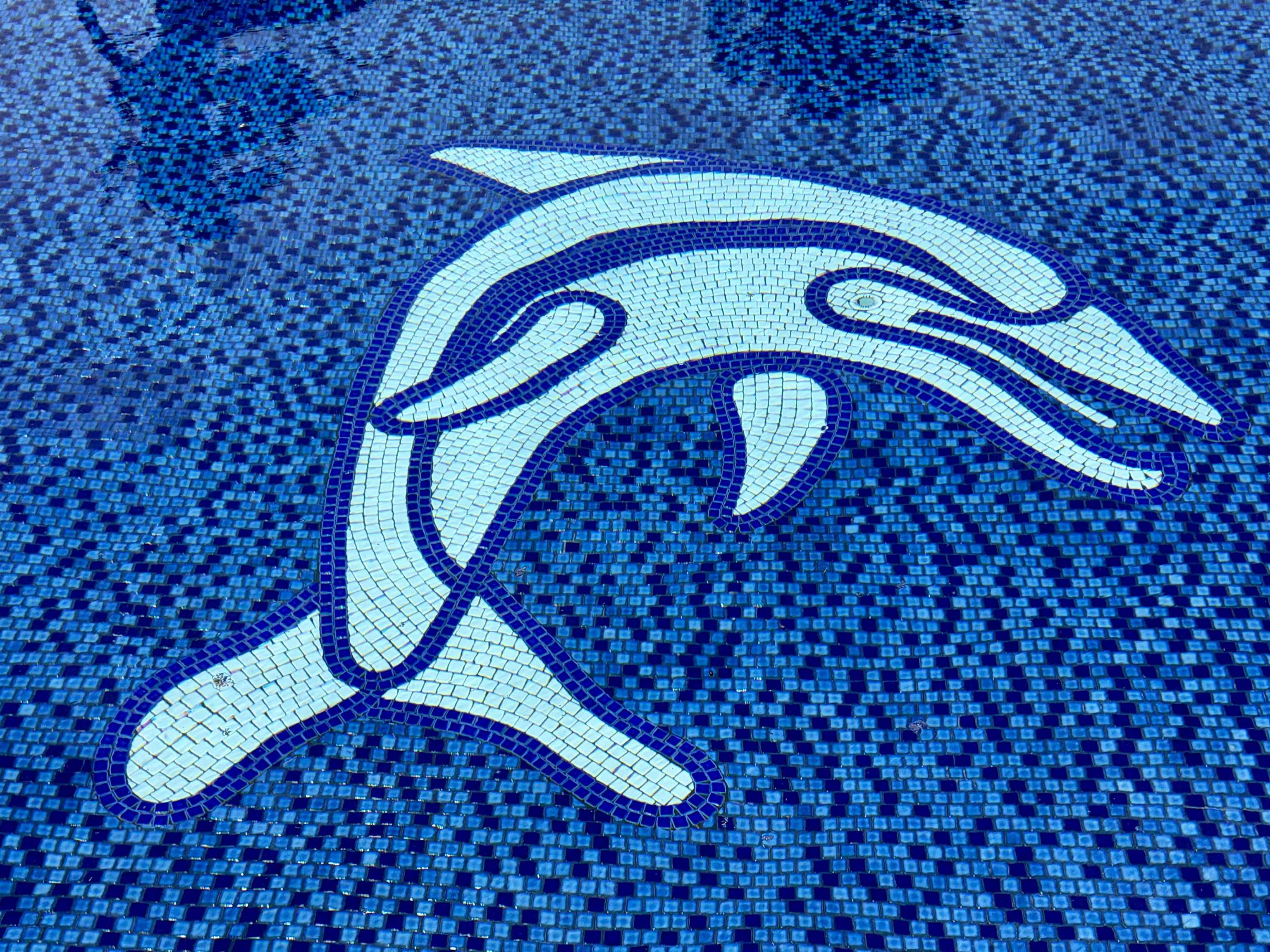 Wavecrest condo # B306, Kaunakakai, Hawaii - photo 15 of 33