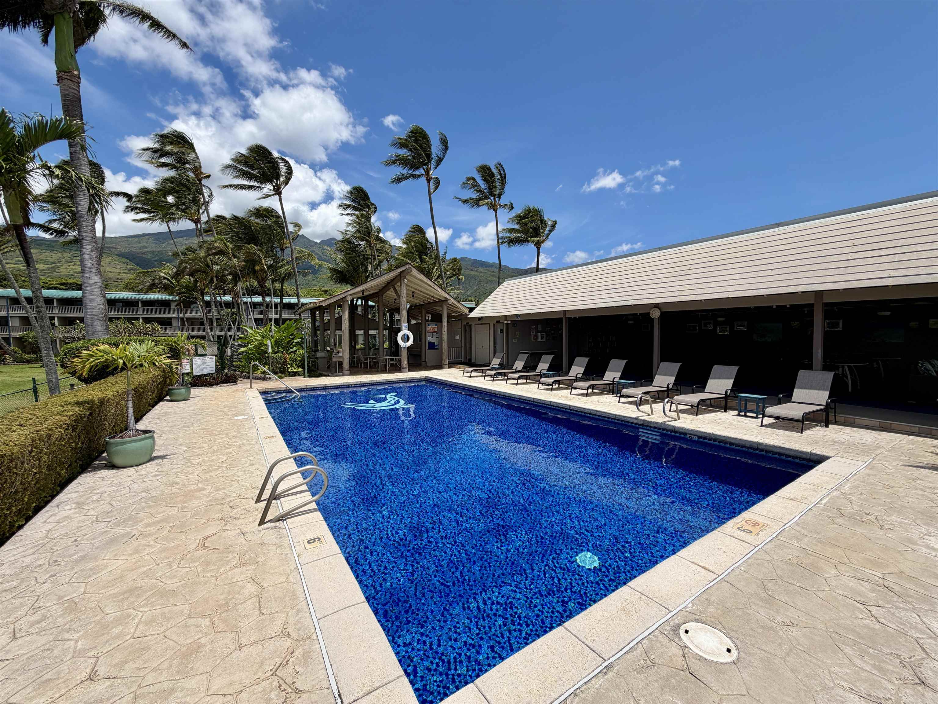 Wavecrest condo # B306, Kaunakakai, Hawaii - photo 18 of 33