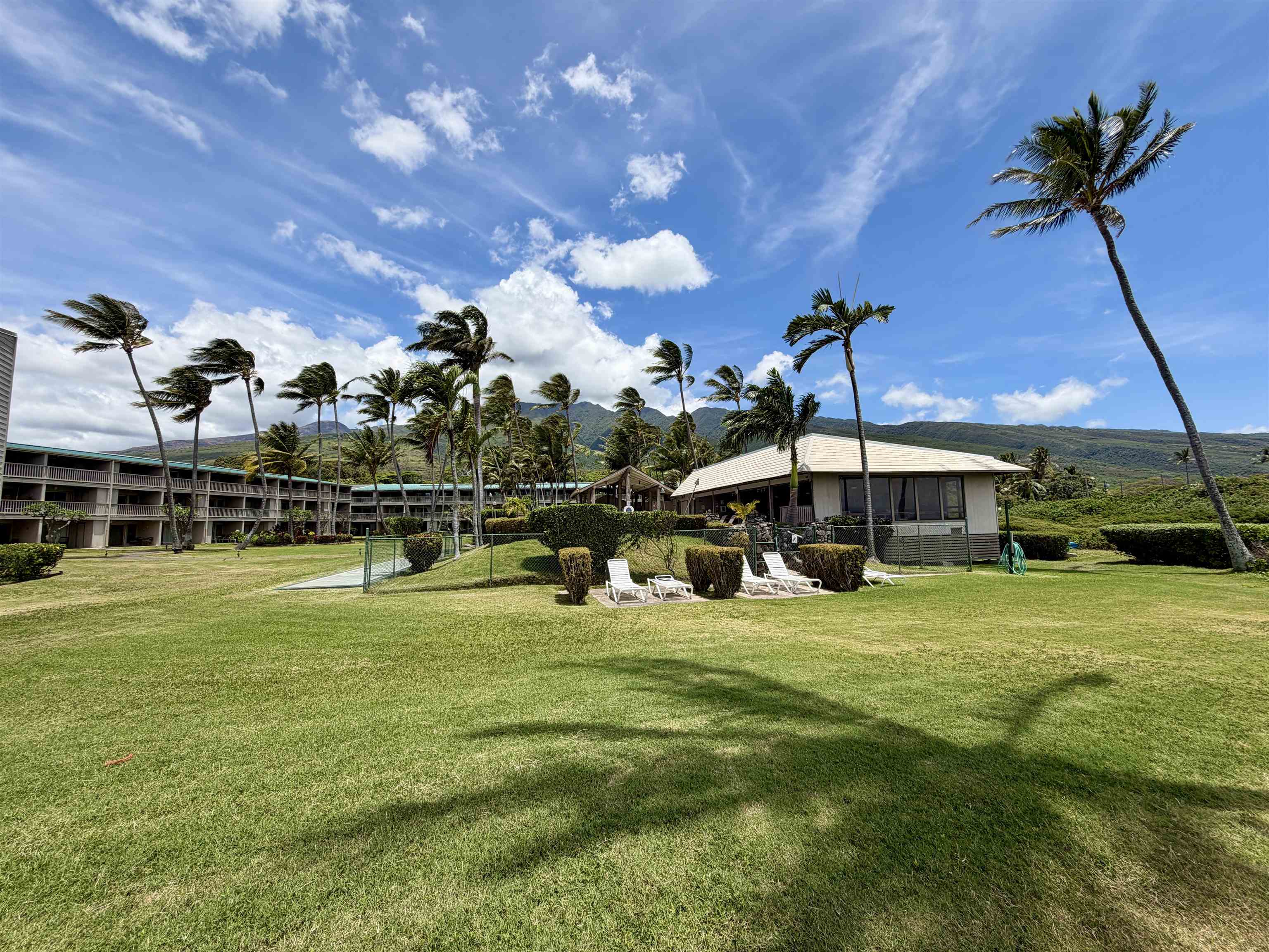 Wavecrest condo # B306, Kaunakakai, Hawaii - photo 33 of 33