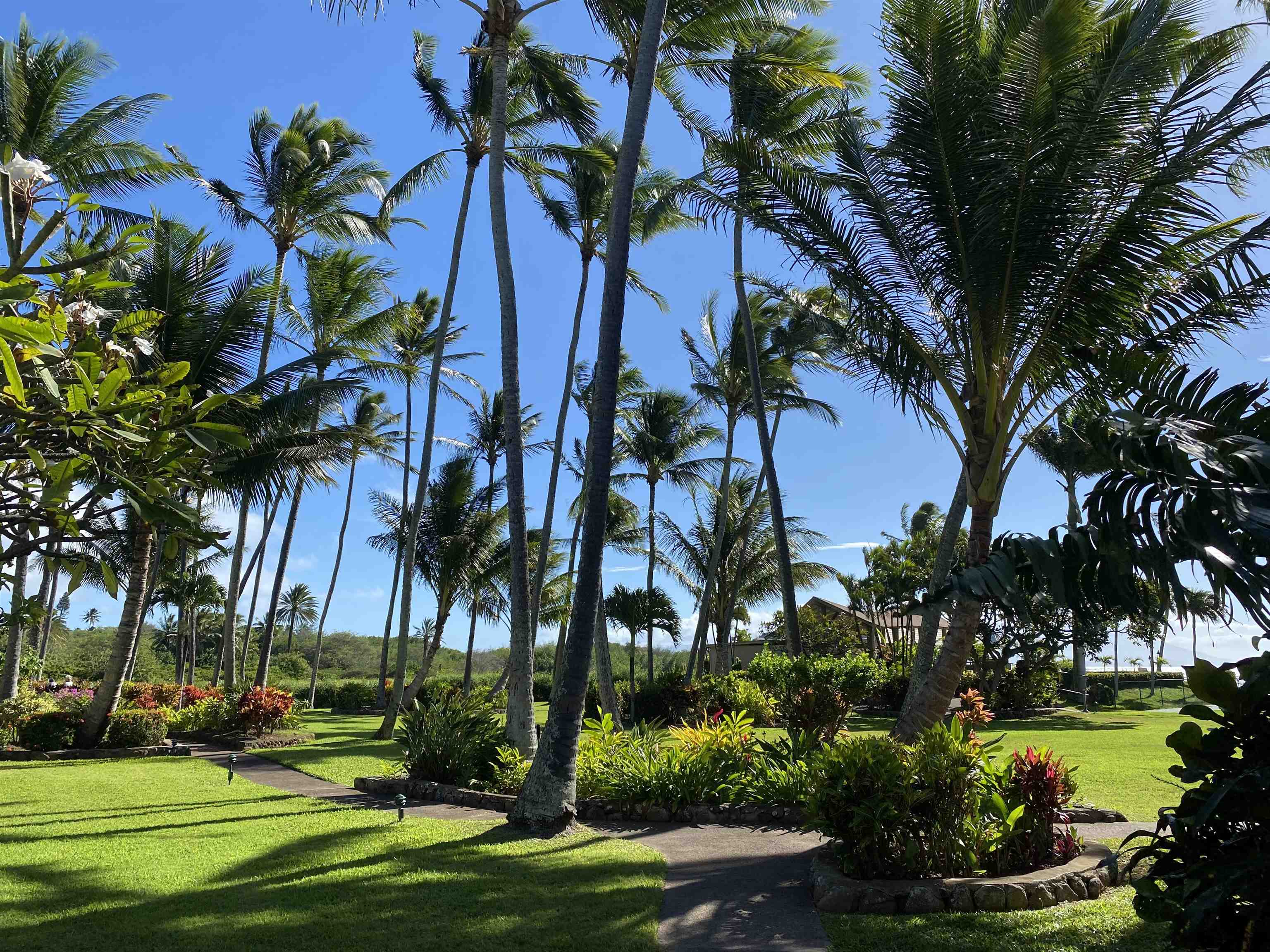 Wavecrest condo # C213, Kaunakakai, Hawaii - photo 14 of 21