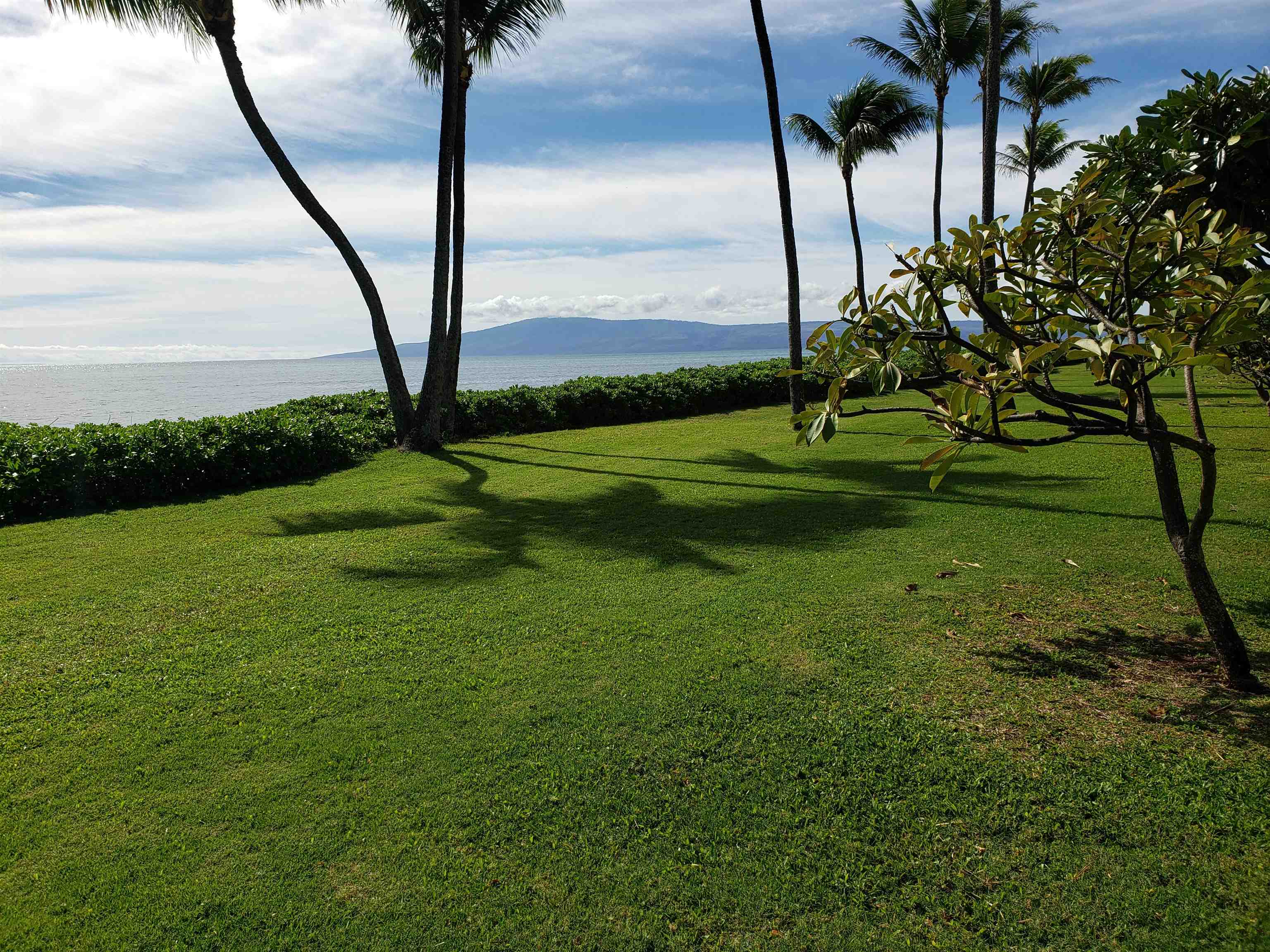 Wavecrest condo # B210, Kaunakakai, Hawaii - photo 5 of 19