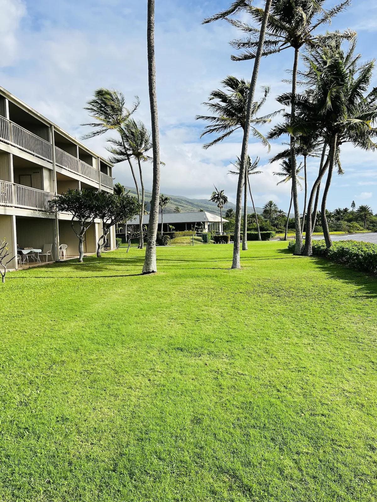 Wavecrest condo # A108, Kaunakakai, Hawaii - photo 19 of 24