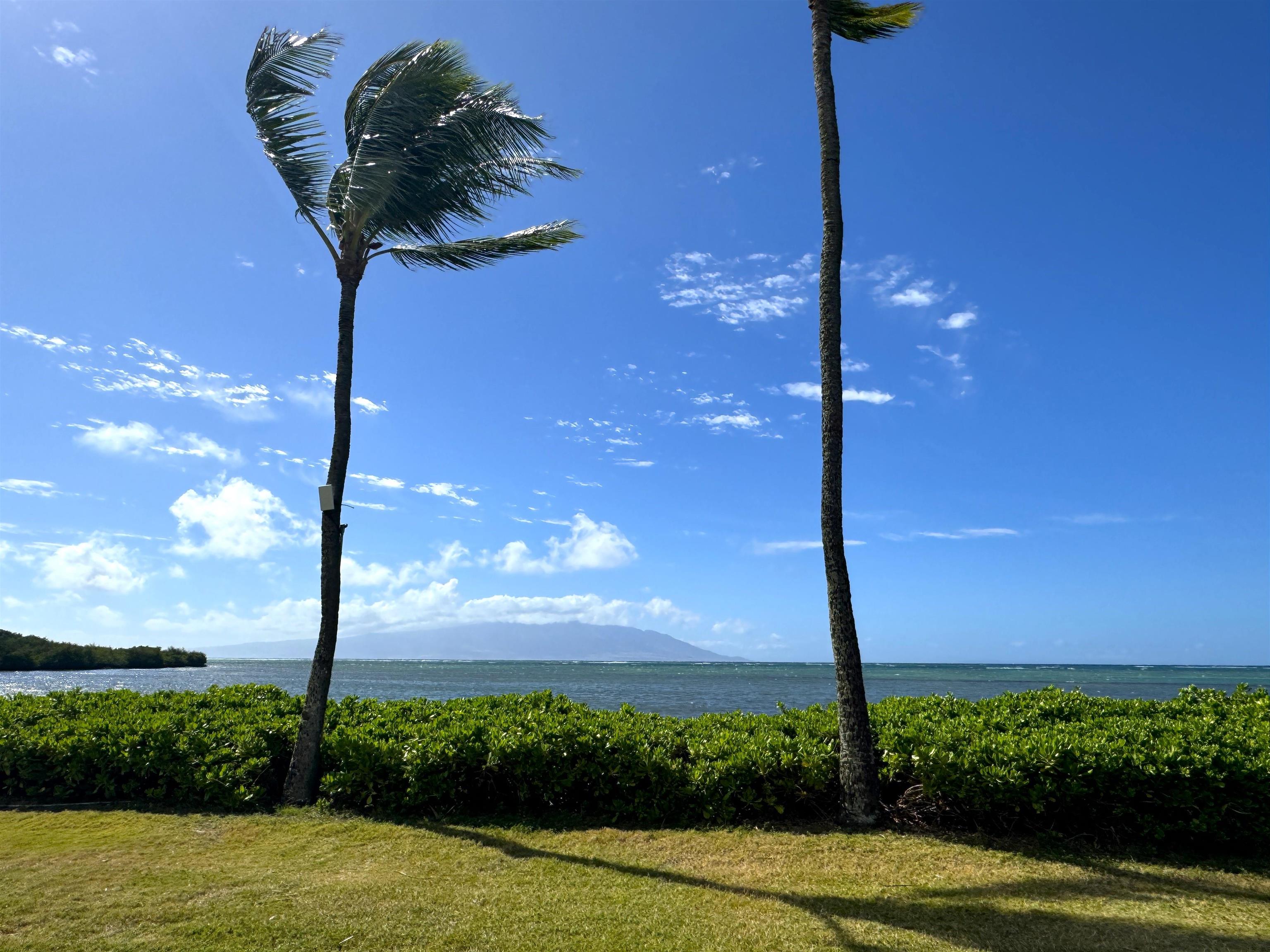 Wavecrest condo # A-109, Kaunakakai, Hawaii - photo 20 of 21