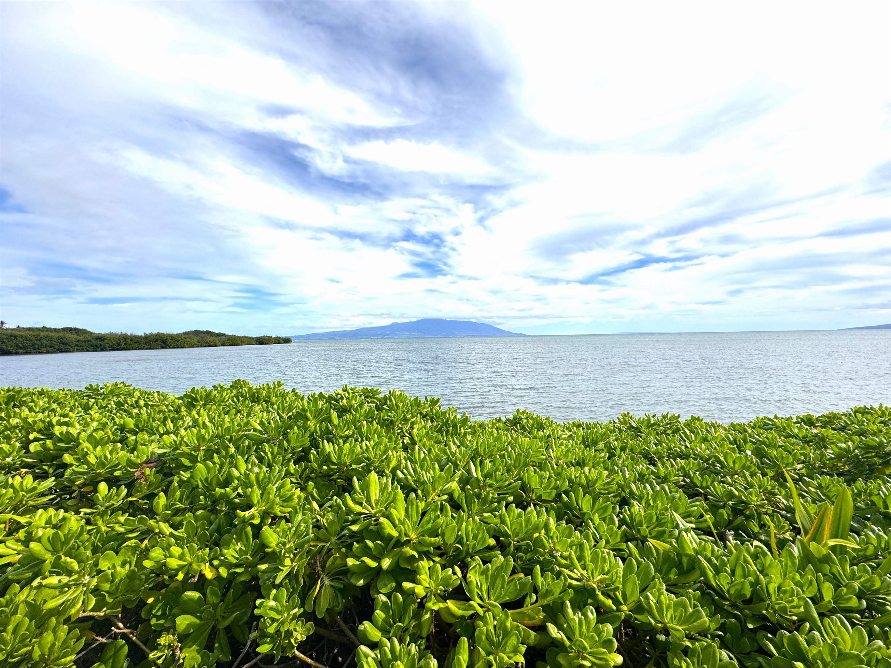 Wavecrest condo # A111, Kaunakakai, Hawaii - photo 11 of 22