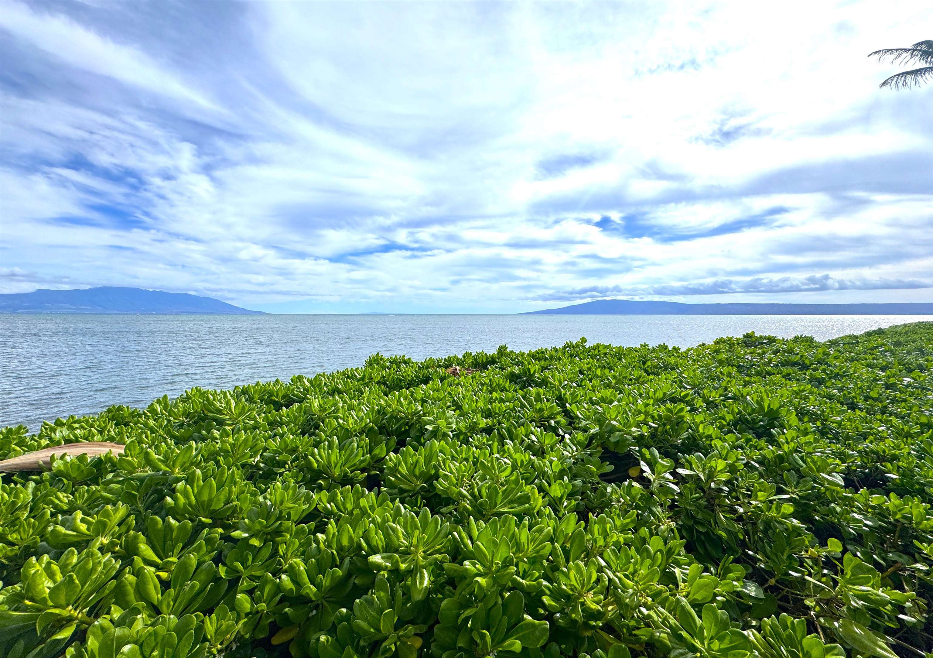 Wavecrest condo # A111, Kaunakakai, Hawaii - photo 12 of 22