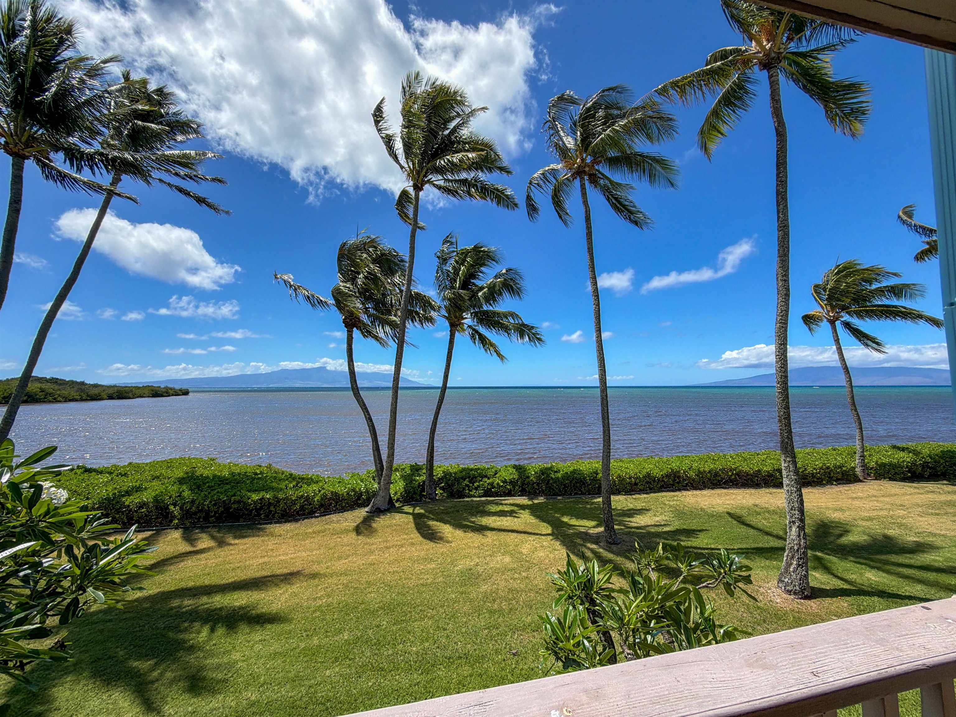 Wavecrest condo # A203, Kaunakakai, Hawaii - photo 2 of 16