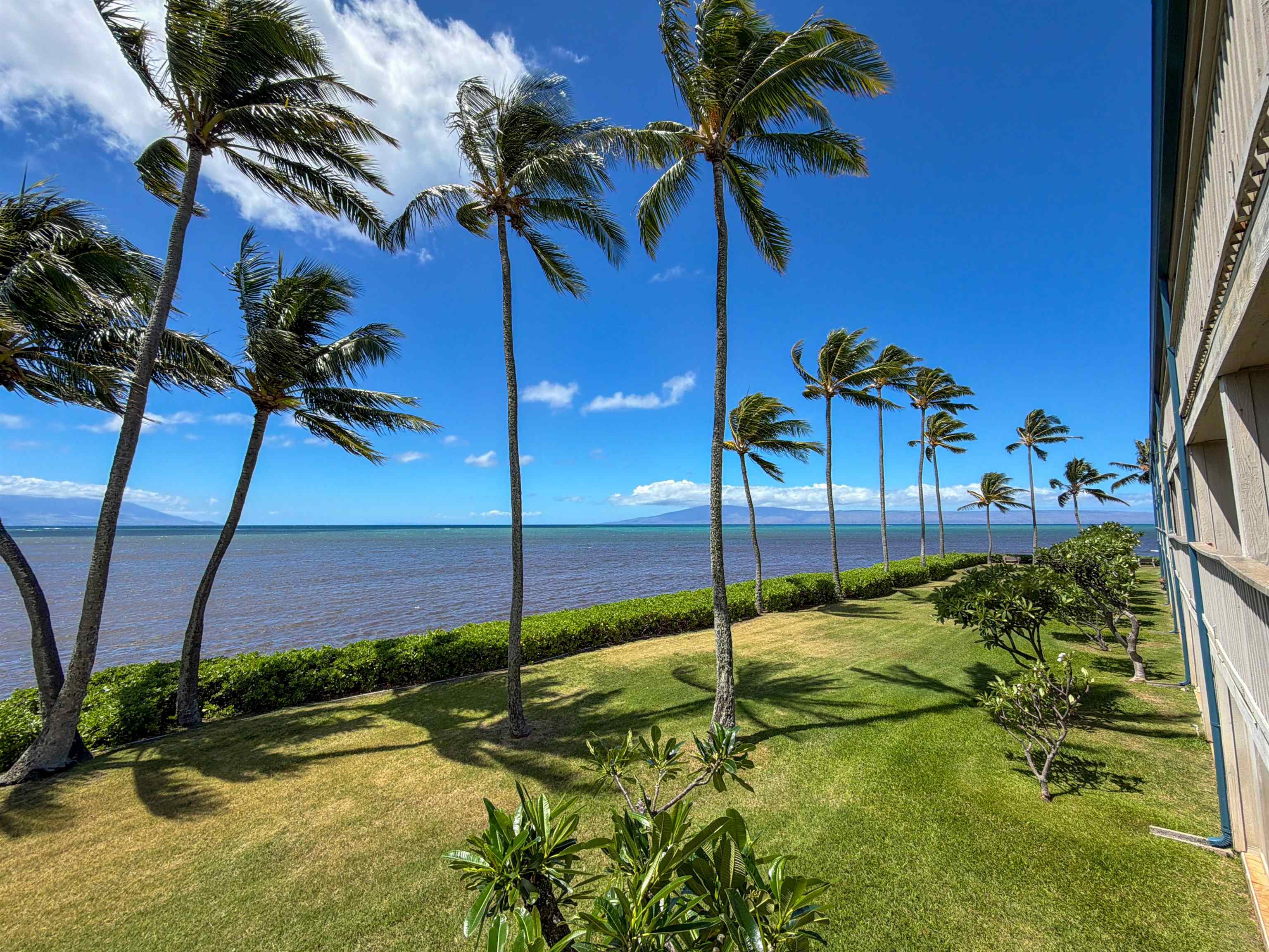 Wavecrest condo # A203, Kaunakakai, Hawaii - photo 11 of 16