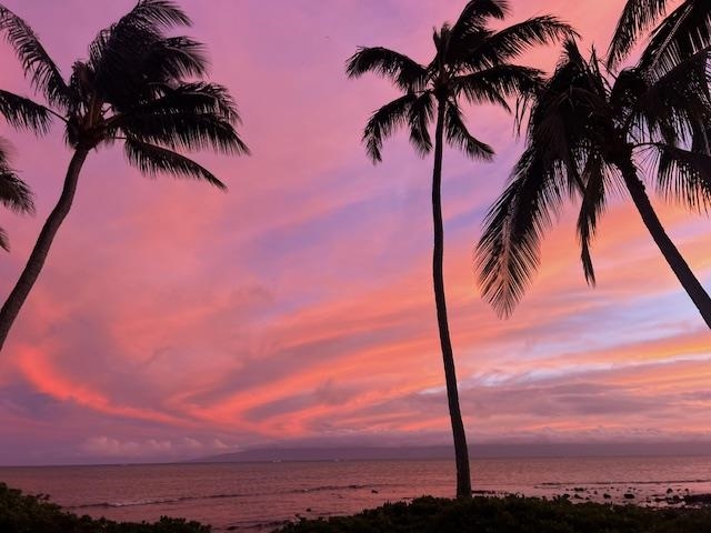 Wavecrest condo # B304, Kaunakakai, Hawaii - photo 13 of 15
