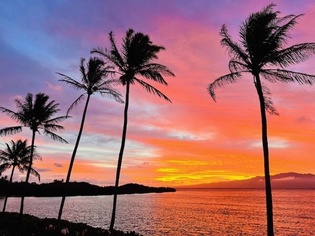 Wavecrest condo # B304, Kaunakakai, Hawaii - photo 14 of 15