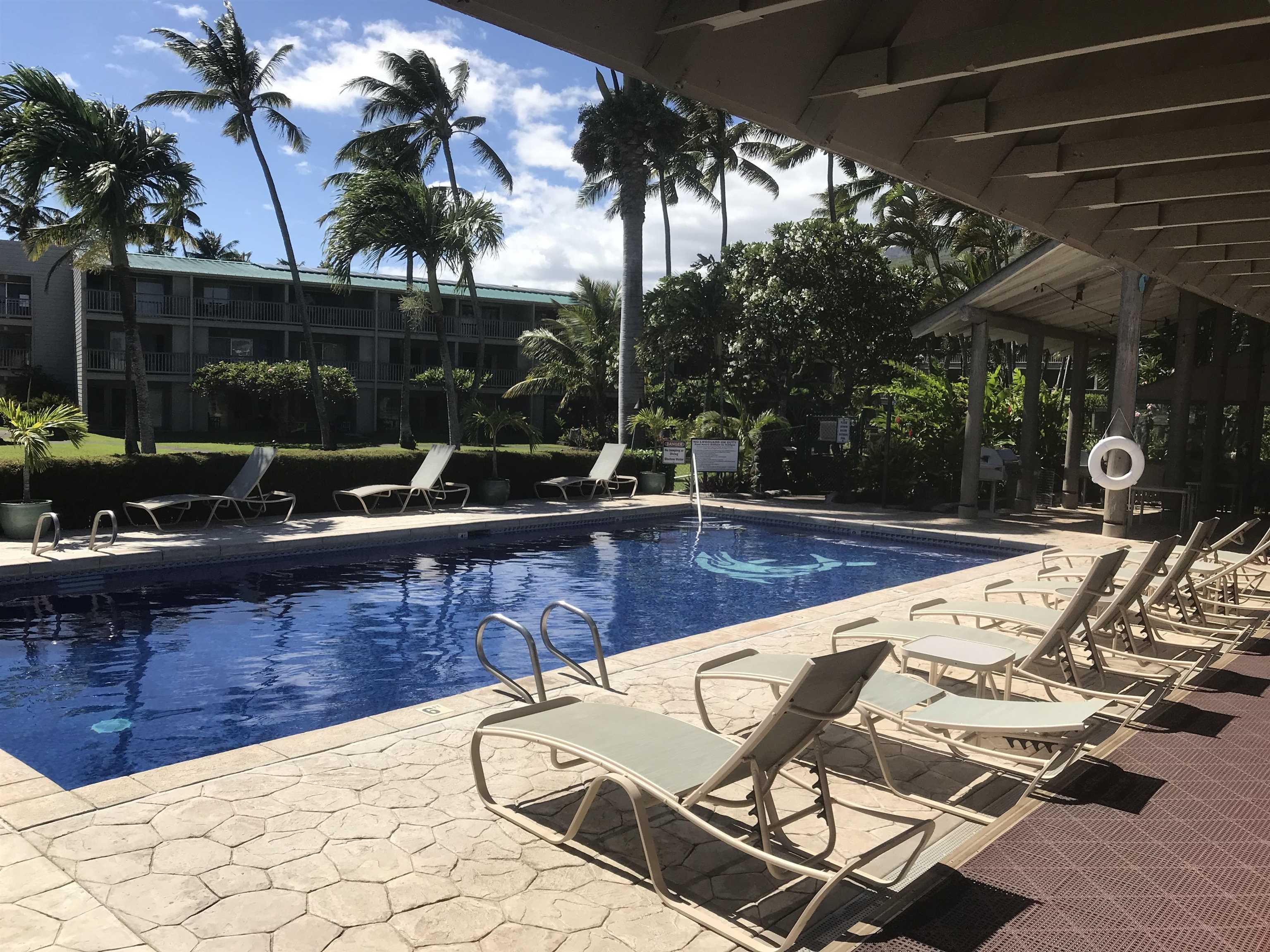 Wavecrest condo # B-304, Kaunakakai, Hawaii - photo 20 of 26
