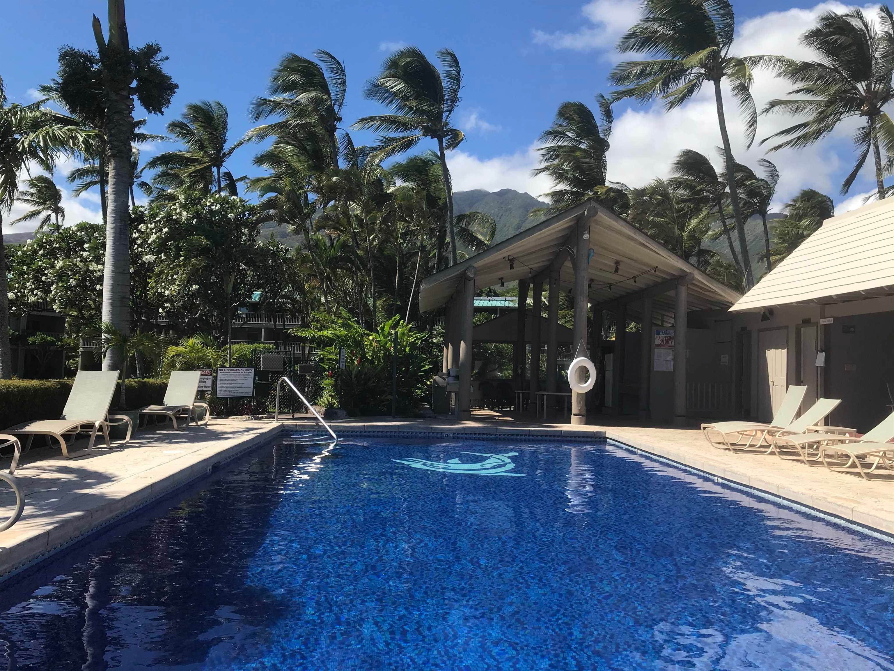 Wavecrest condo # B-304, Kaunakakai, Hawaii - photo 21 of 26