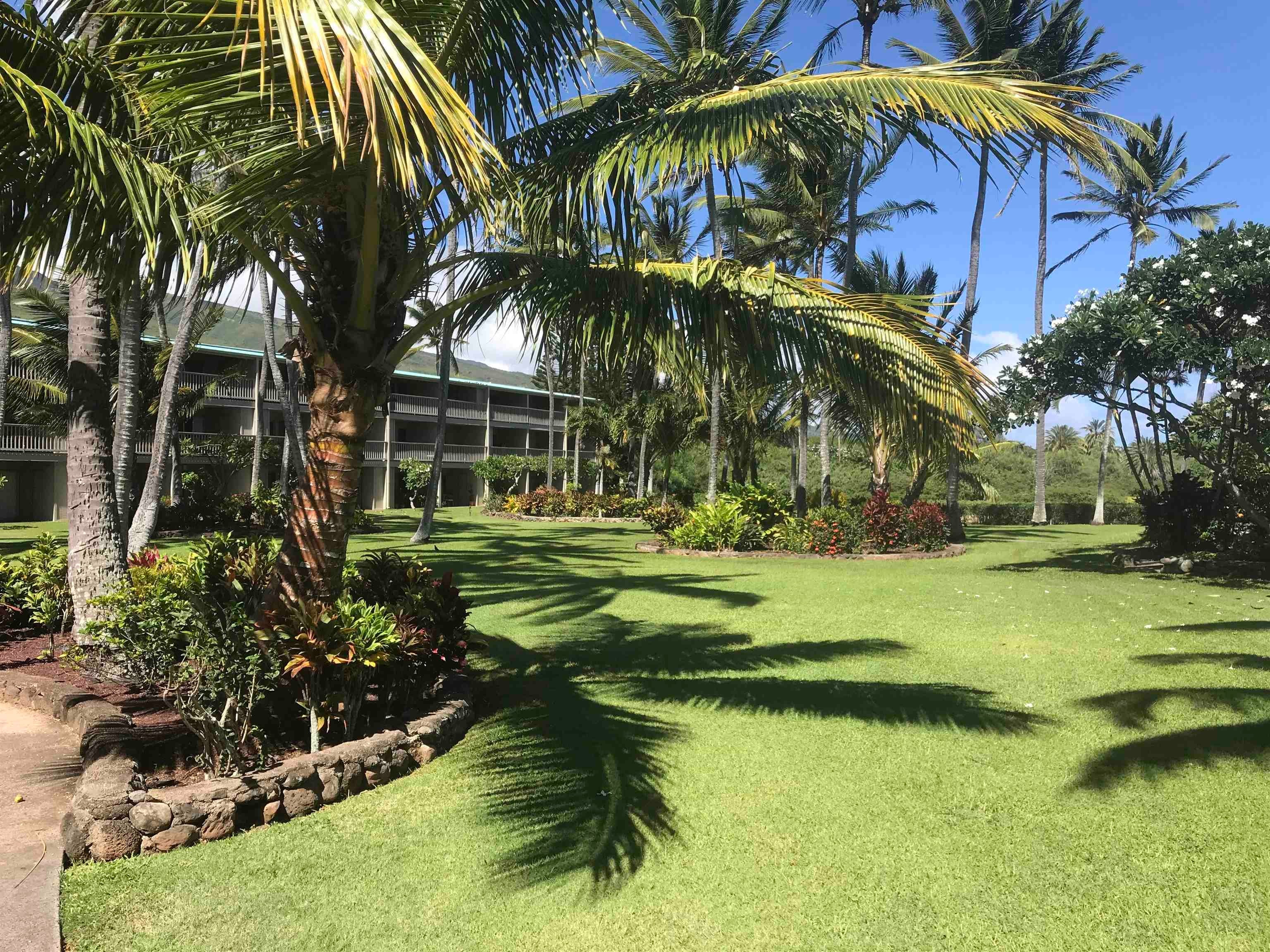 Wavecrest condo # B-304, Kaunakakai, Hawaii - photo 23 of 26