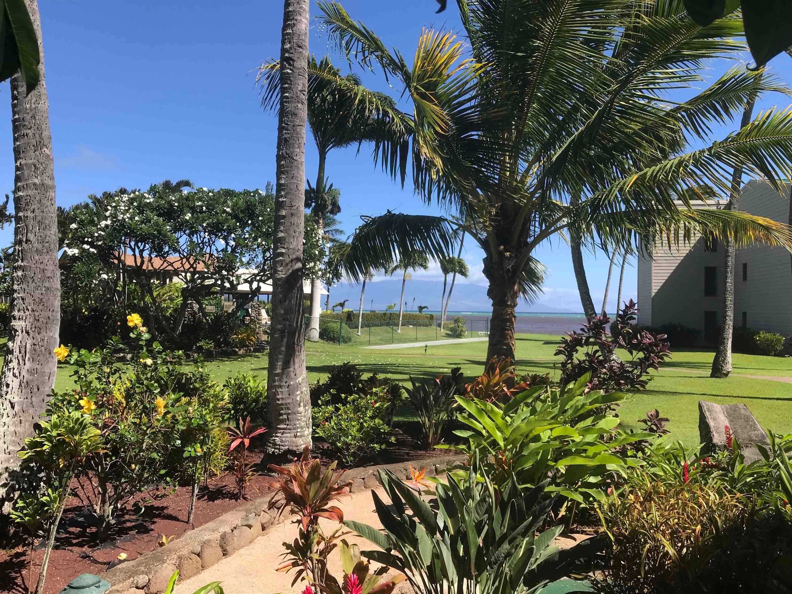 Wavecrest condo # B-304, Kaunakakai, Hawaii - photo 24 of 26
