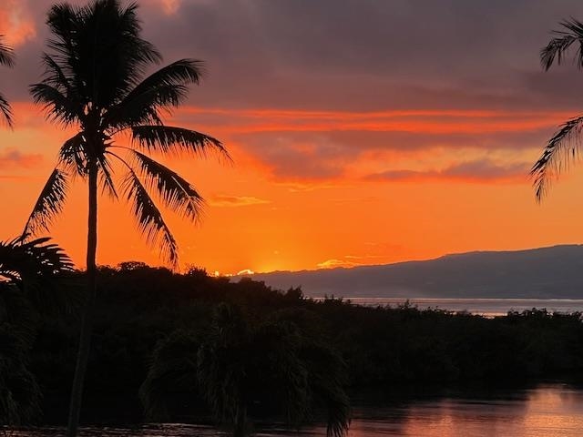 Wavecrest condo # B309, Kaunakakai, Hawaii - photo 13 of 24