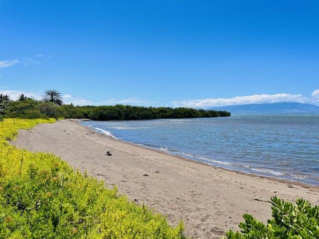 Wavecrest condo # B309, Kaunakakai, Hawaii - photo 20 of 24