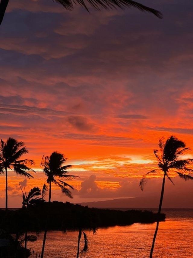 Wavecrest condo # B309, Kaunakakai, Hawaii - photo 22 of 24