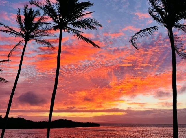 Wavecrest condo # B309, Kaunakakai, Hawaii - photo 23 of 24