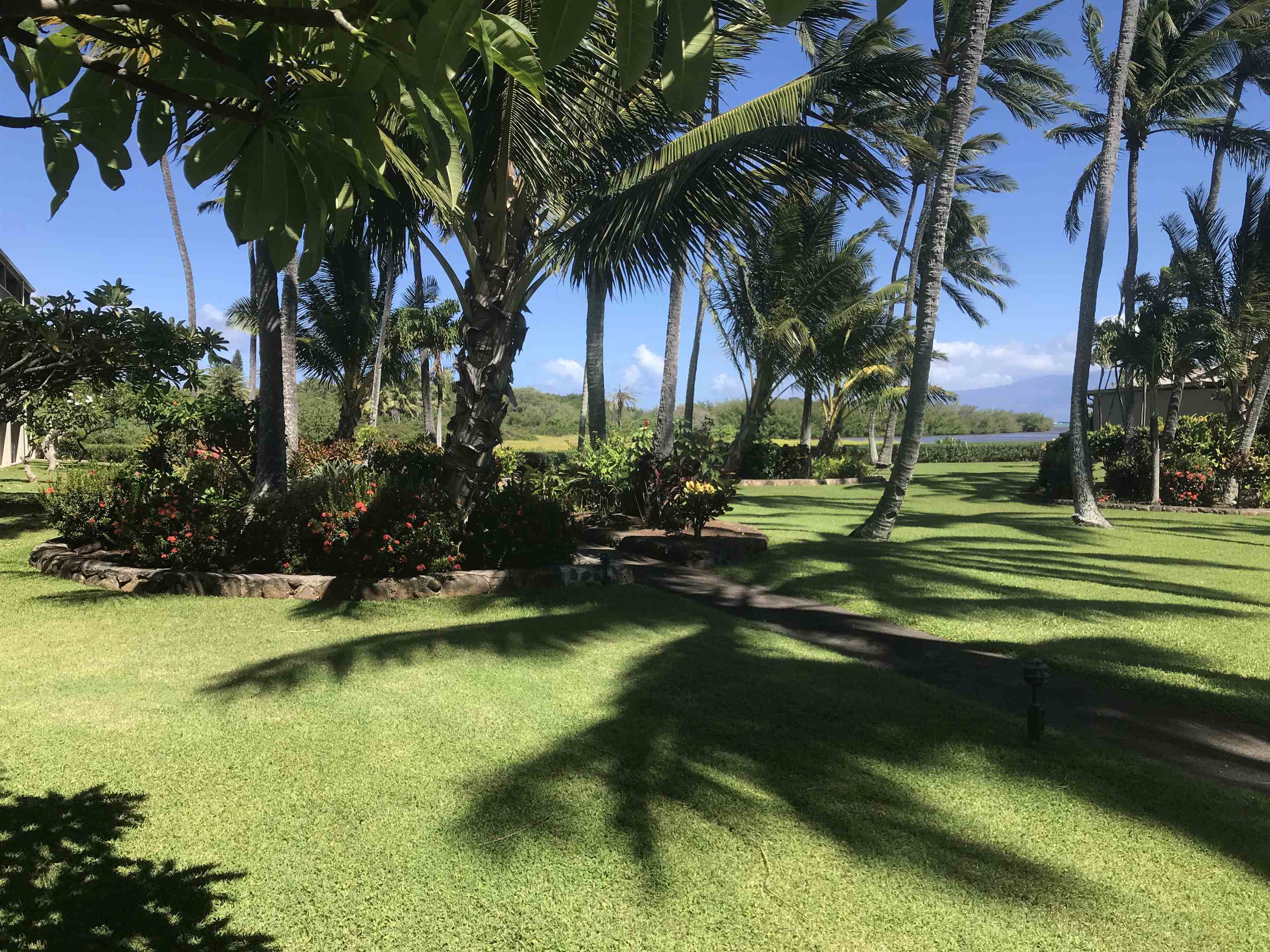 Wavecrest condo # B310, Kaunakakai, Hawaii - photo 29 of 34