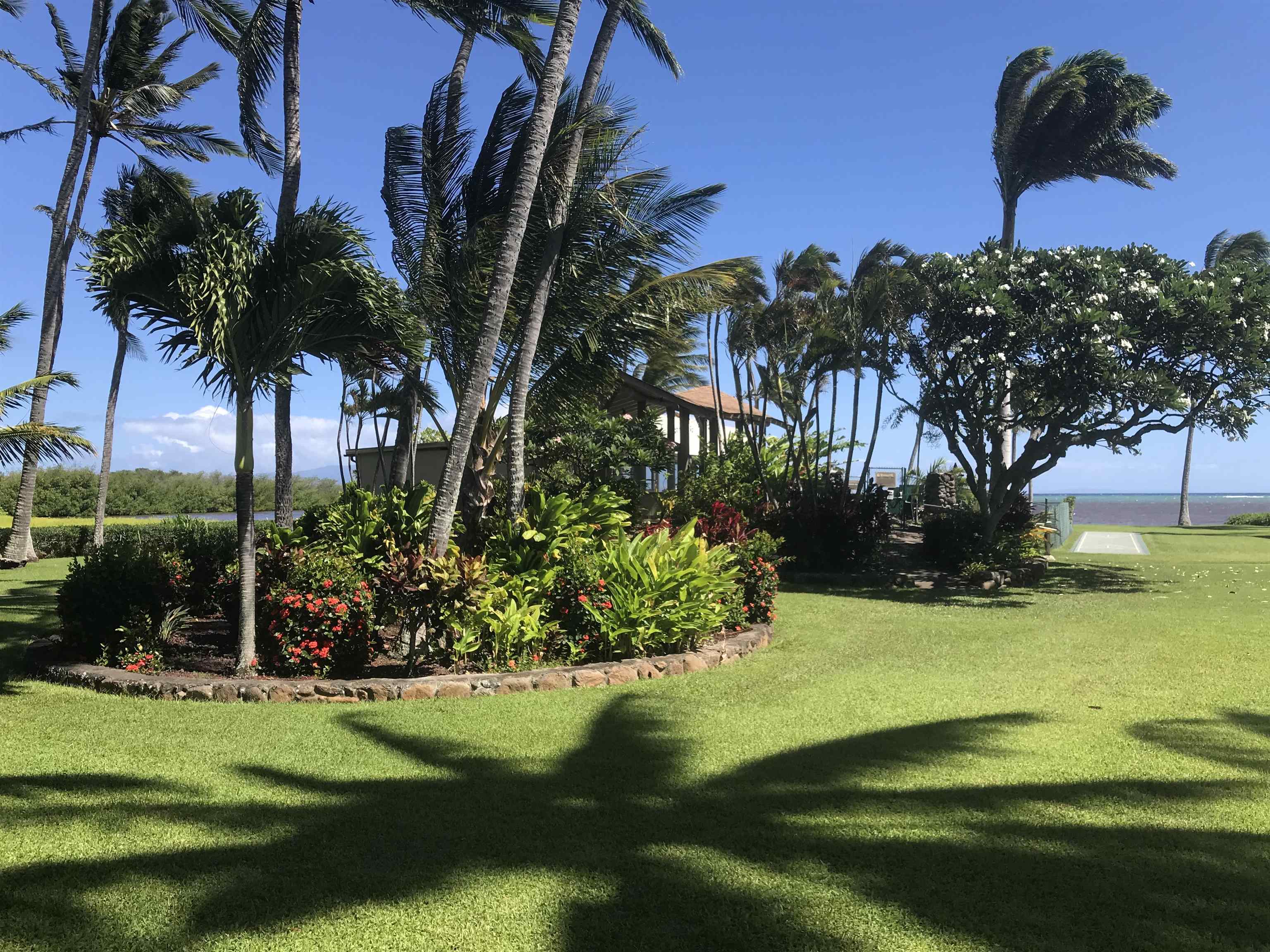 Wavecrest condo # B310, Kaunakakai, Hawaii - photo 30 of 34