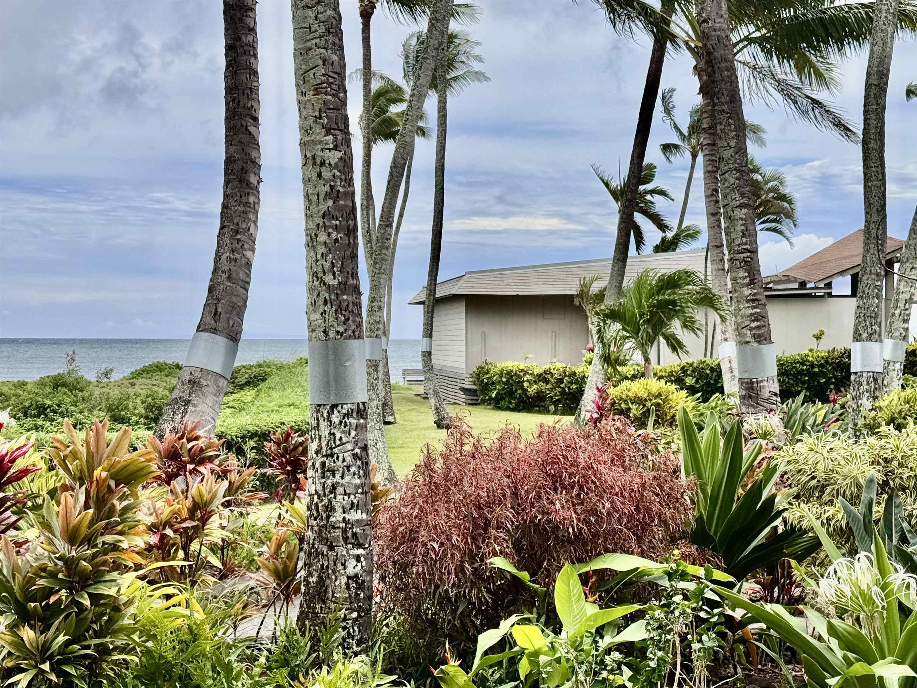 Wavecrest condo # C104, Kaunakakai, Hawaii - photo 23 of 31