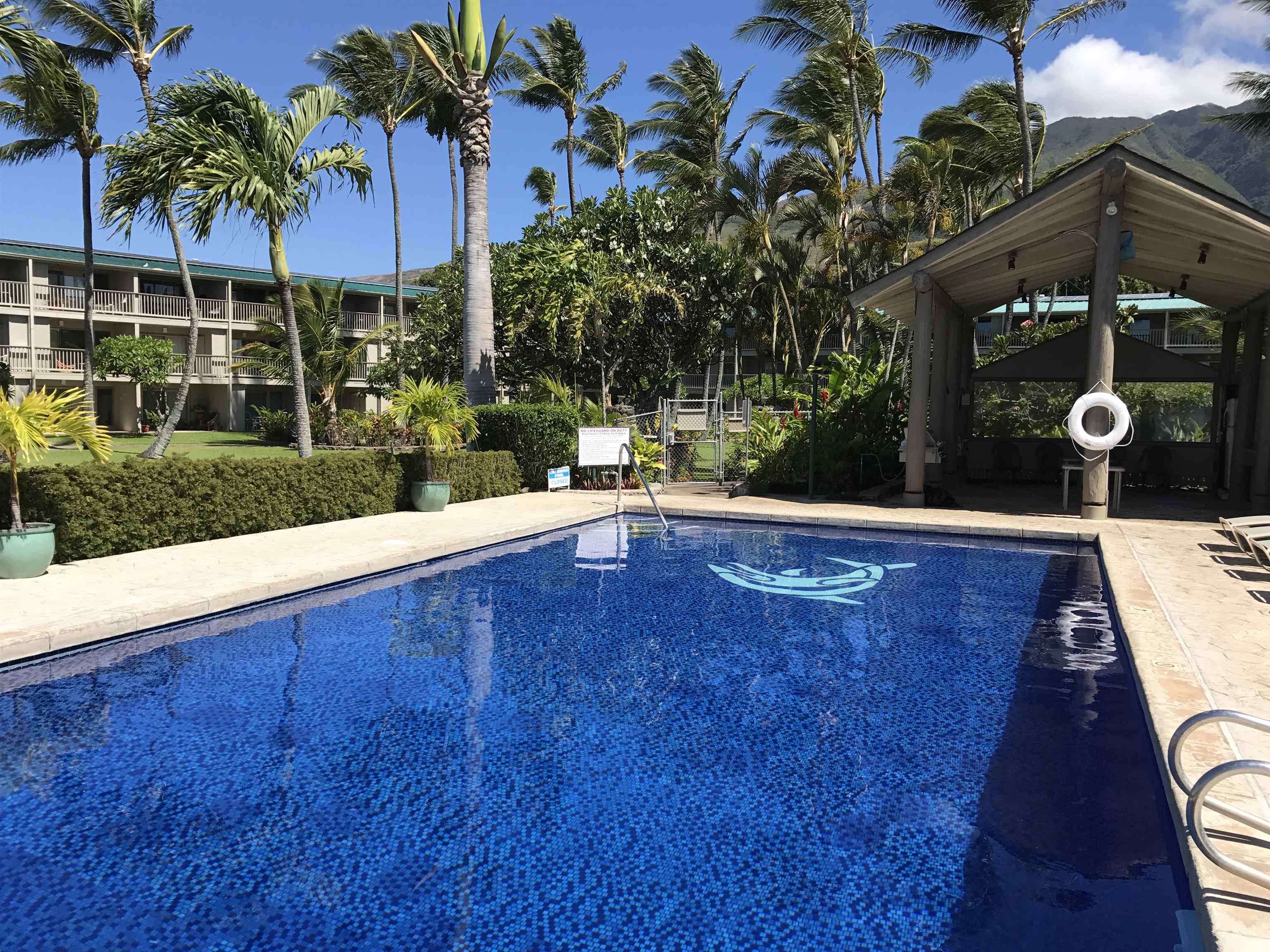 Wavecrest condo # C104, Kaunakakai, Hawaii - photo 25 of 31