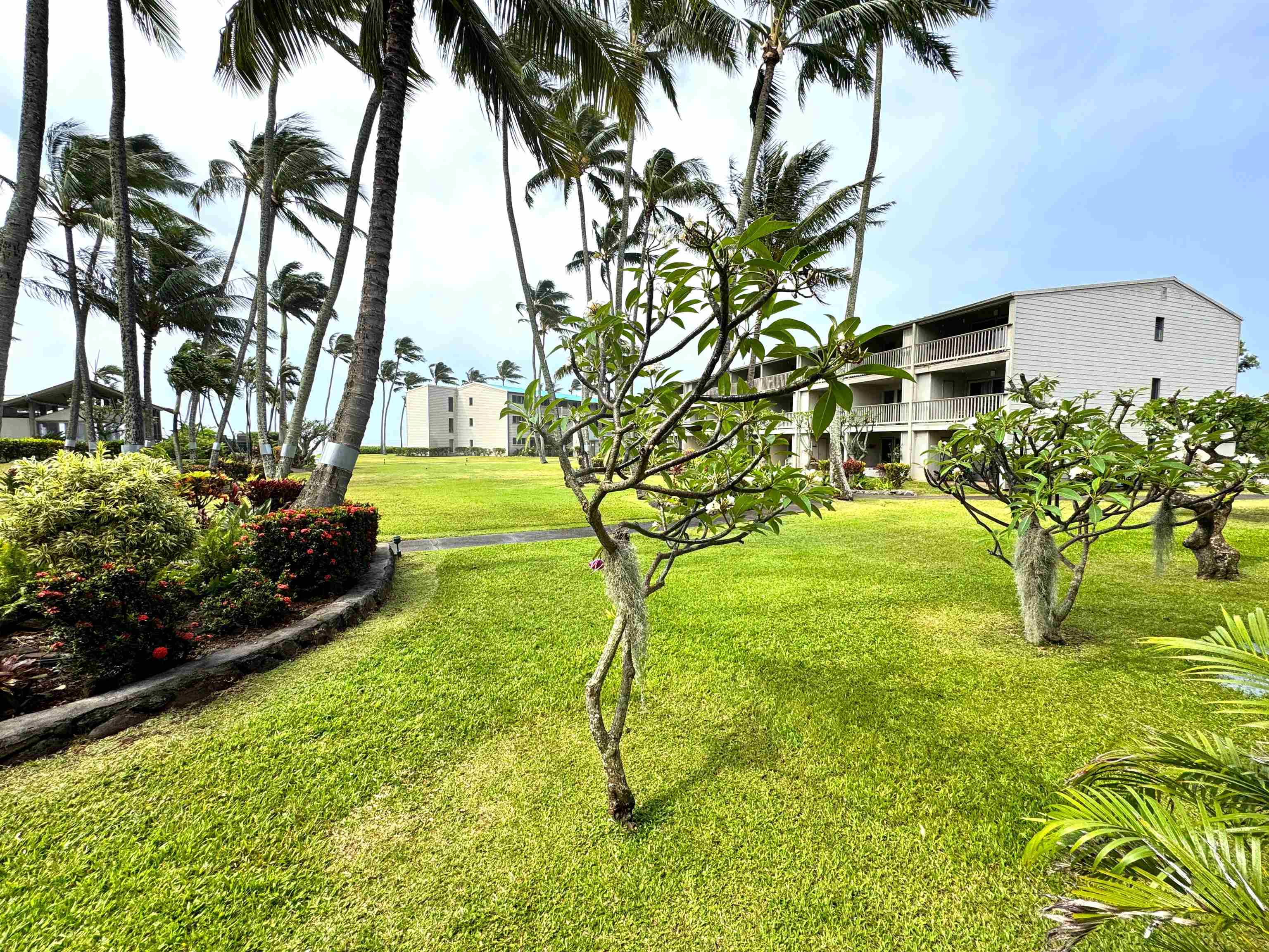 Wavecrest condo # C110, Kaunakakai, Hawaii - photo 14 of 22