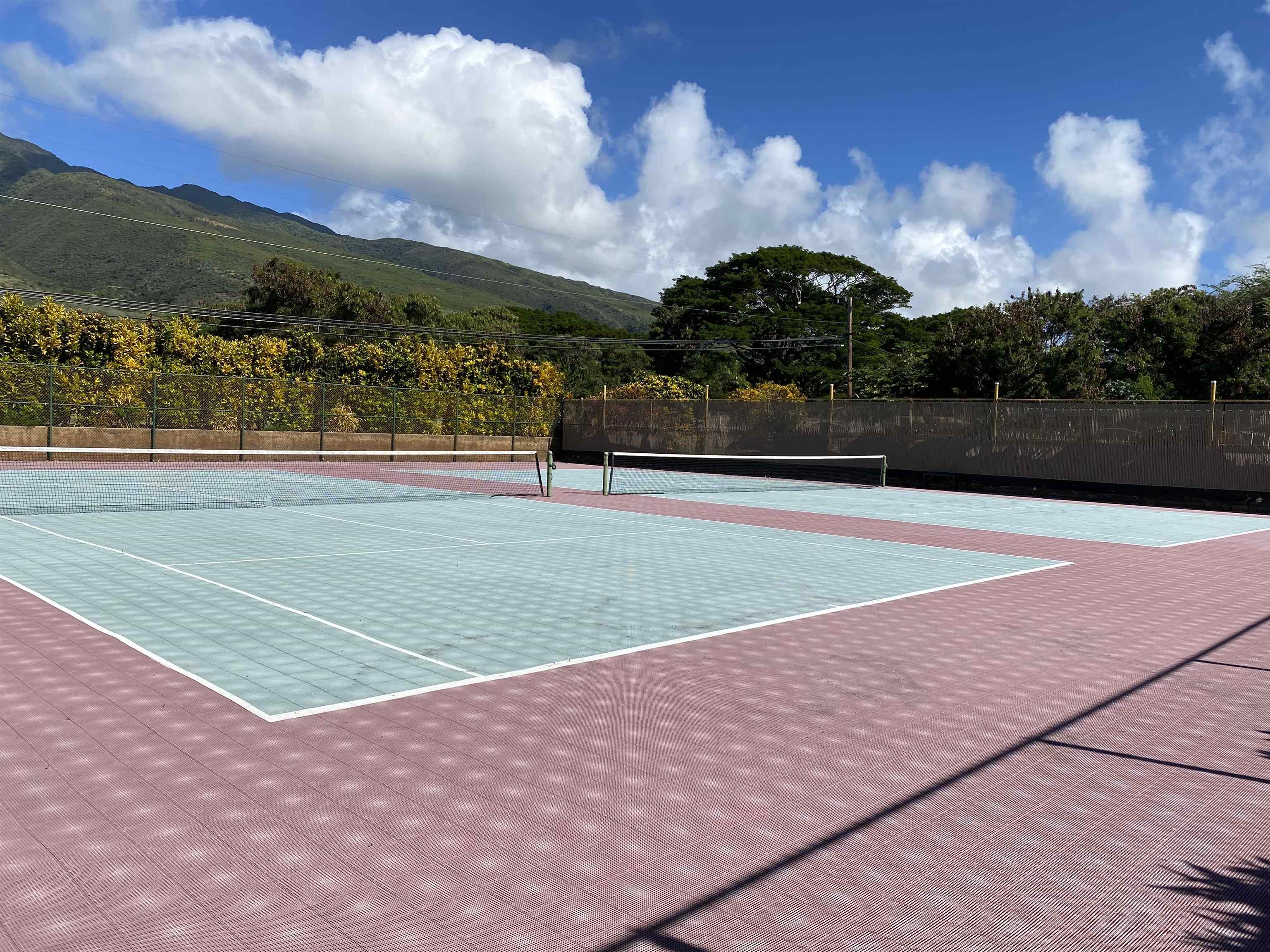 Wavecrest condo # C110, Kaunakakai, Hawaii - photo 18 of 22