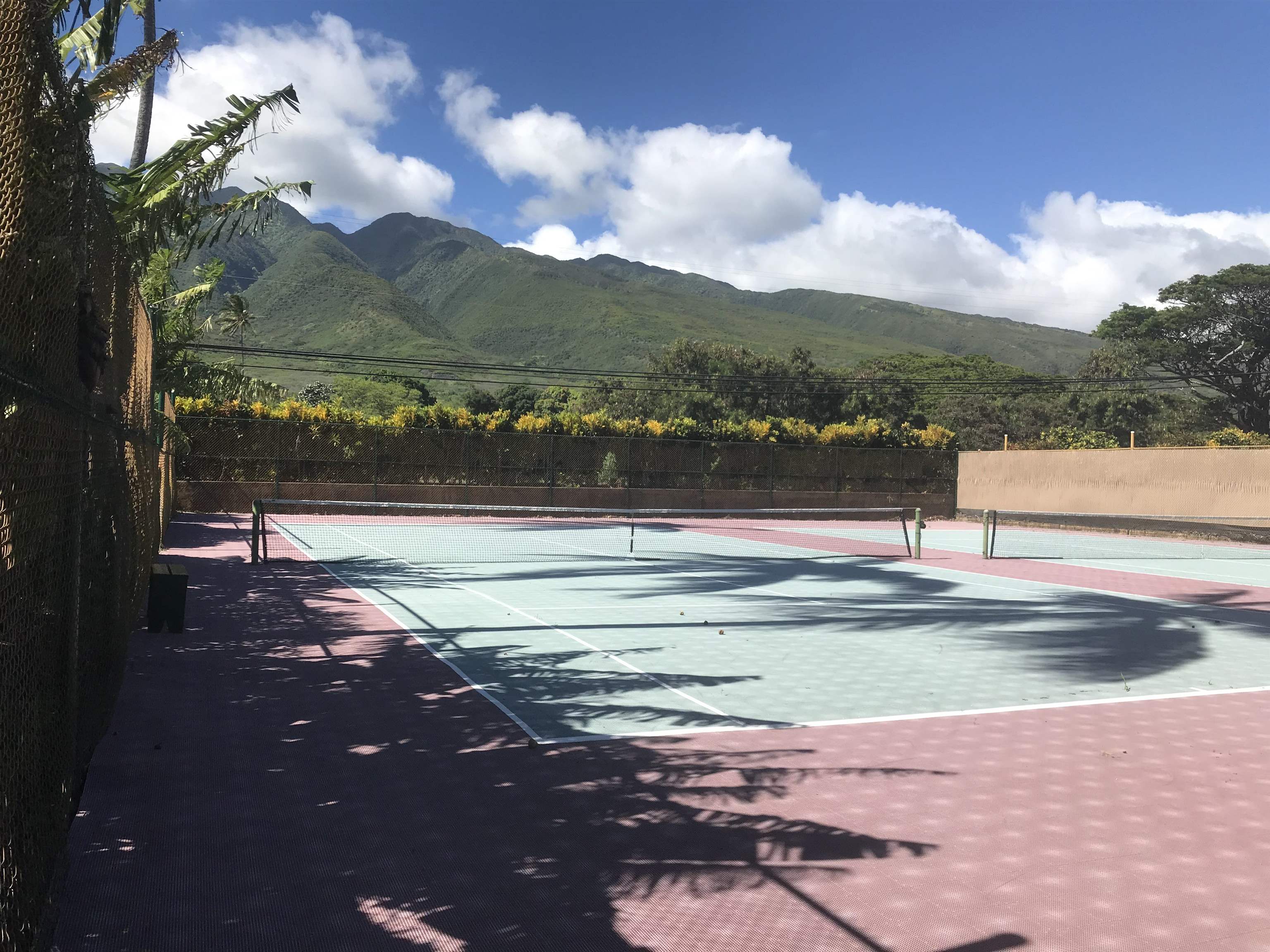 Wavecrest condo # C-213, Kaunakakai, Hawaii - photo 20 of 21