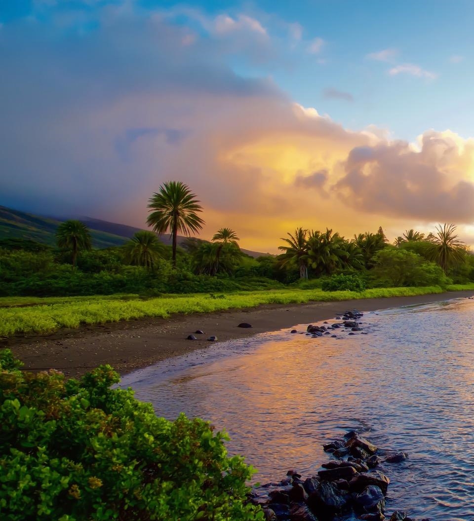 Wavecrest condo # C304, Kaunakakai, Hawaii - photo 33 of 37
