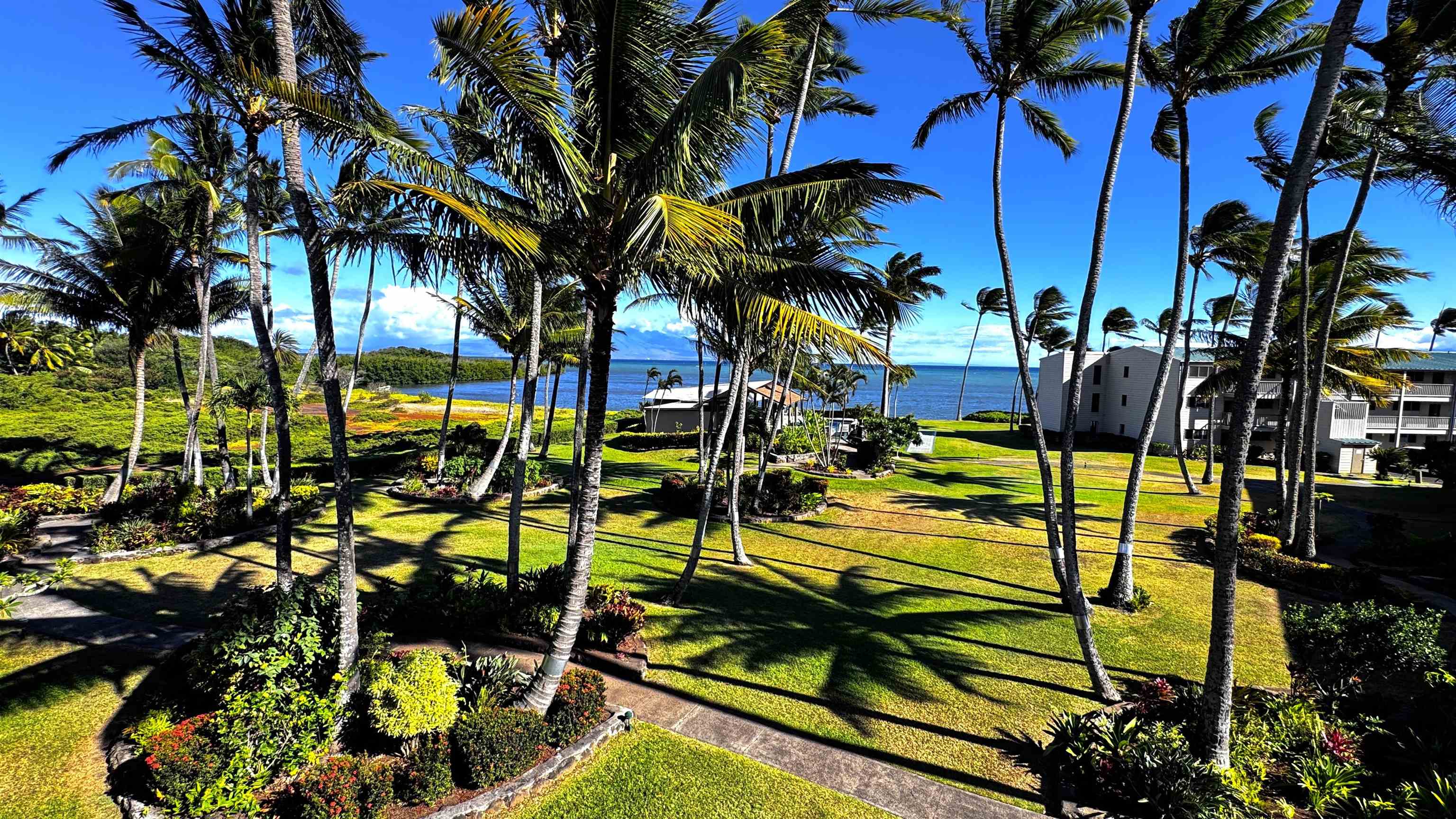 Wavecrest condo # C-312, Kaunakakai, Hawaii - photo 17 of 29