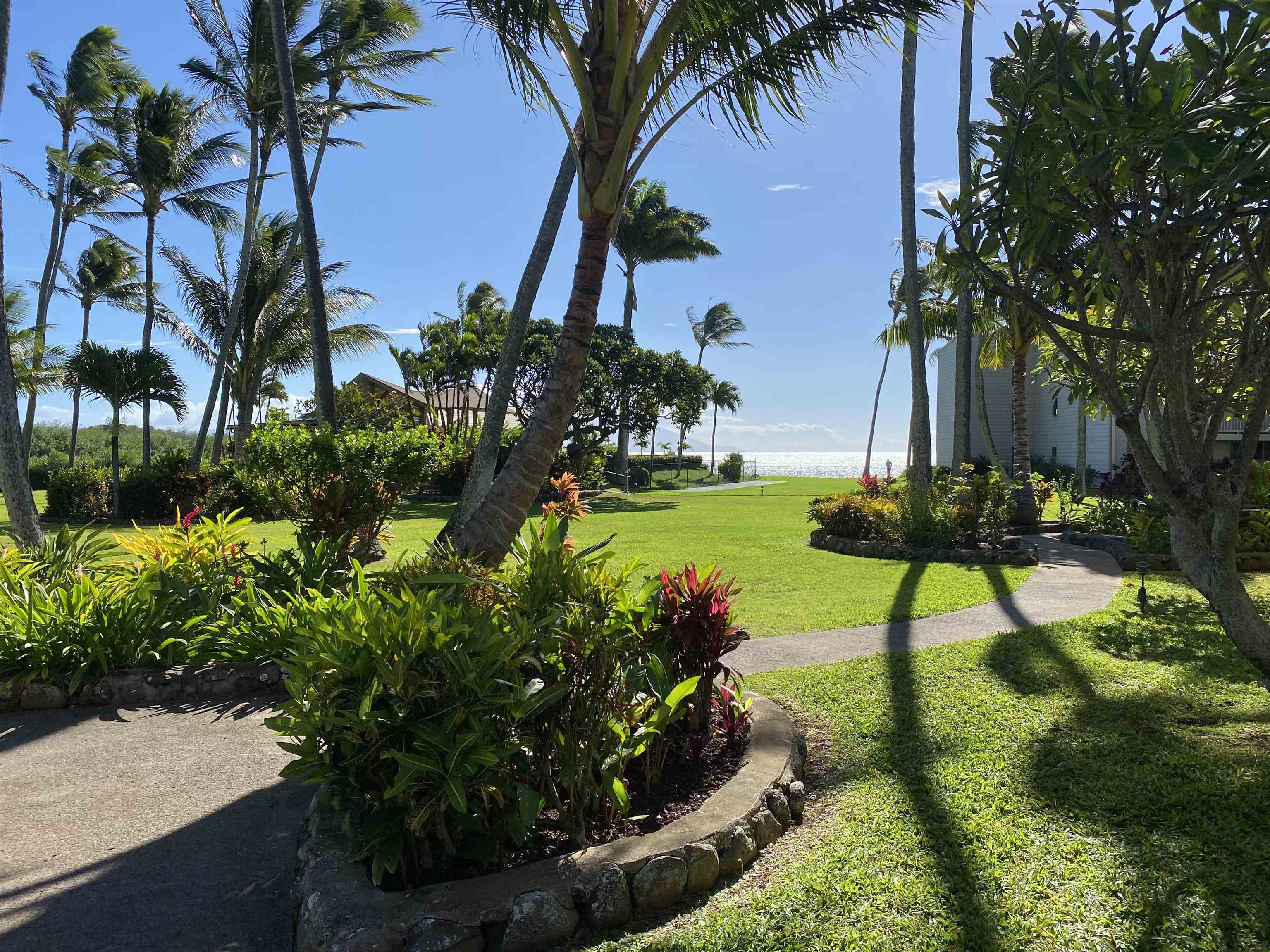 Wavecrest condo # C-312, Kaunakakai, Hawaii - photo 21 of 29