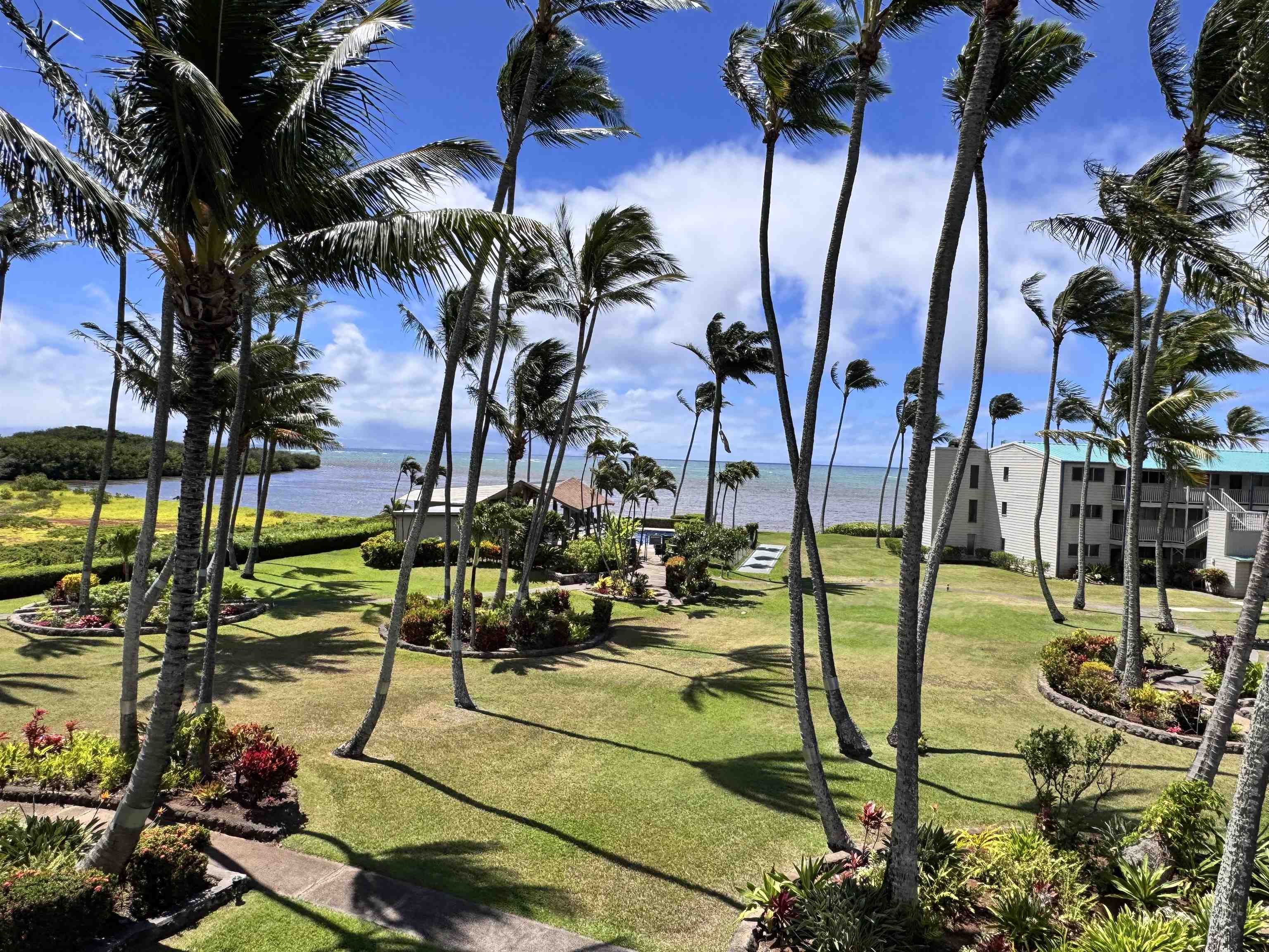 Wavecrest condo # C313, Kaunakakai, Hawaii - photo 23 of 26