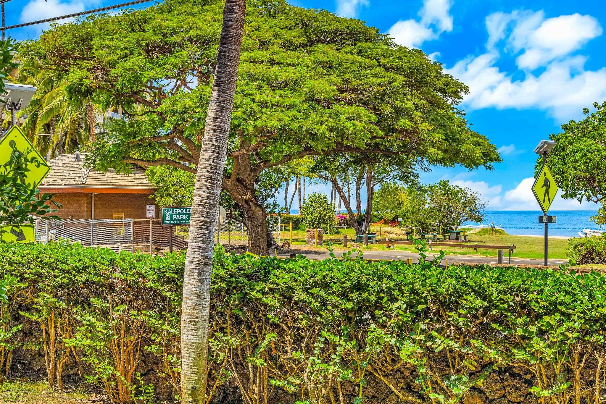 Kihei Bay Surf condo # 103, Kihei, Hawaii - photo 4 of 41