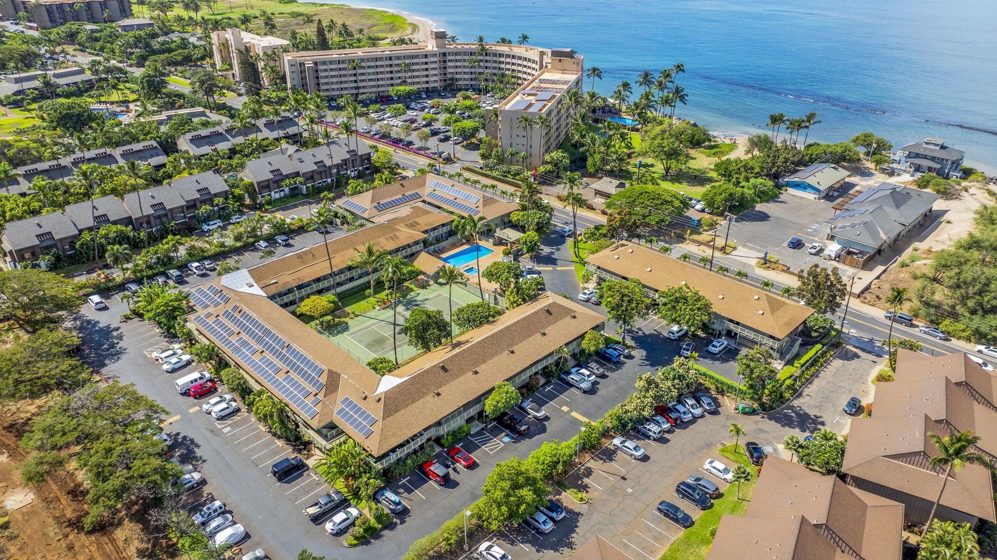 Kihei Bay Surf condo # 103, Kihei, Hawaii - photo 34 of 41