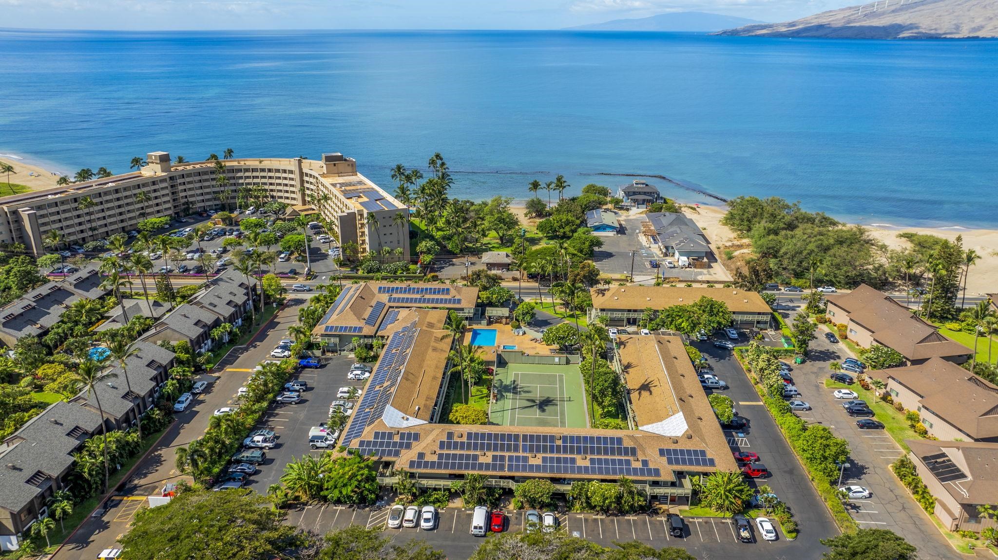 Kihei Bay Surf condo # 103, Kihei, Hawaii - photo 36 of 41