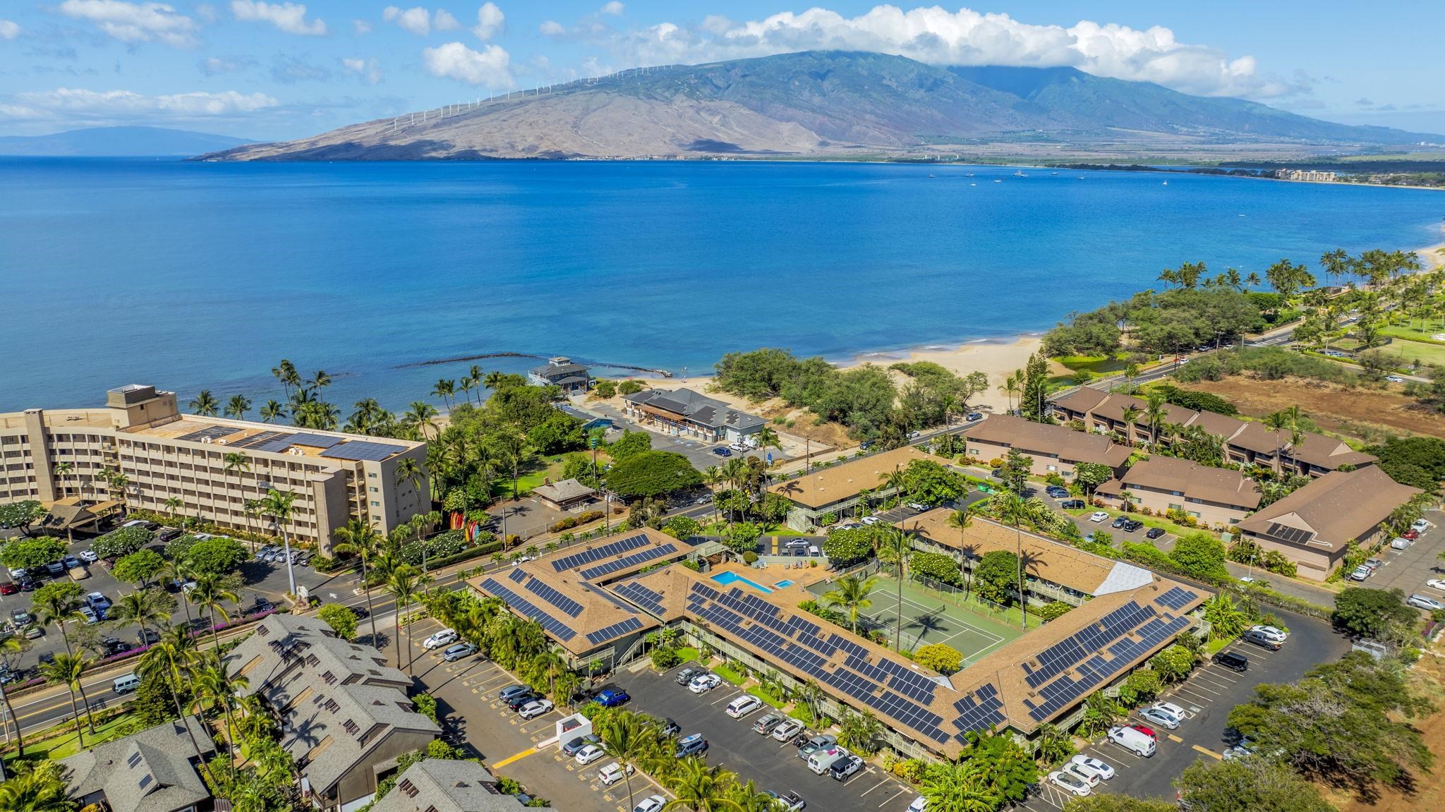 Kihei Bay Surf condo # 103, Kihei, Hawaii - photo 37 of 41