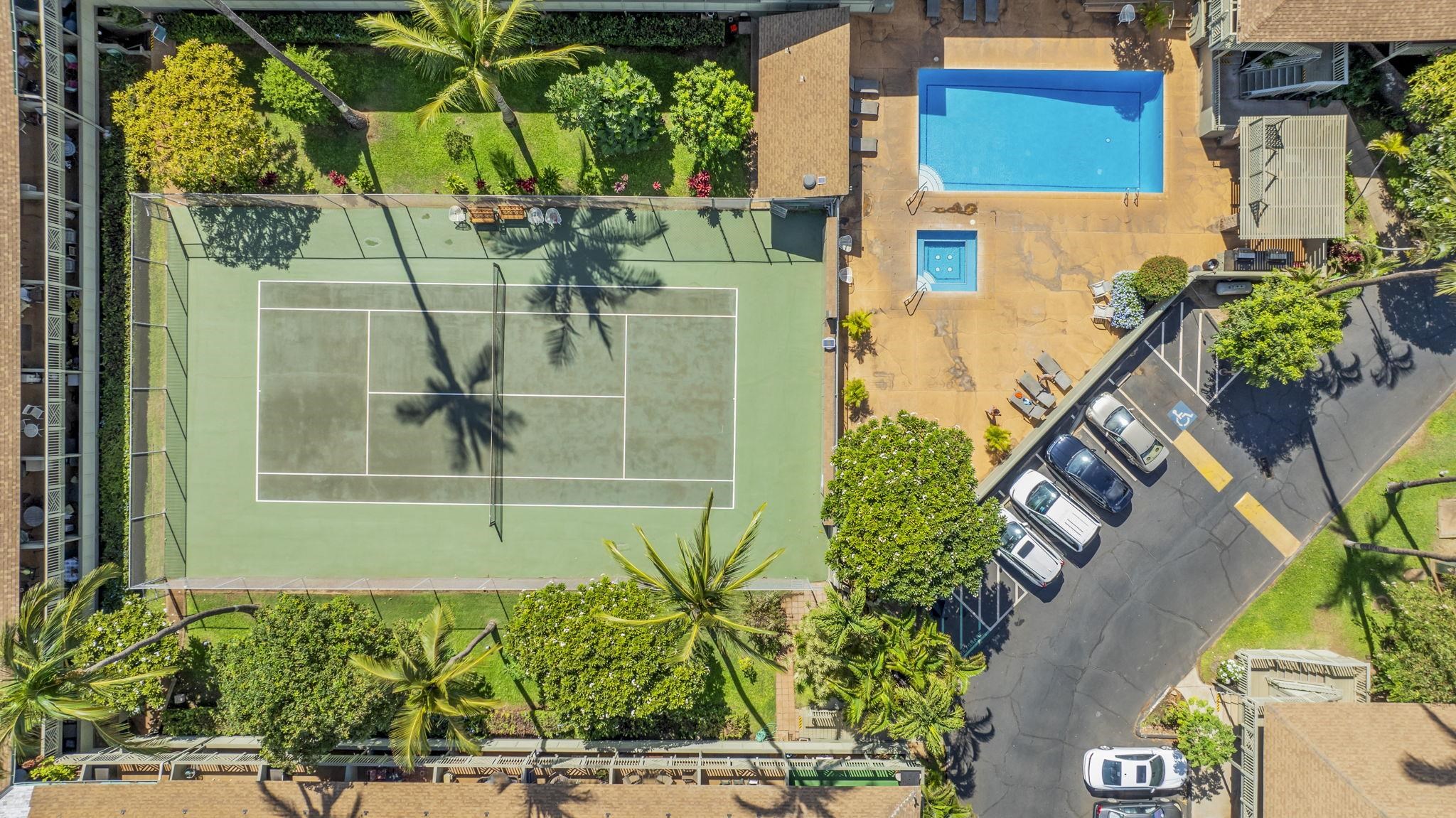 Kihei Bay Surf condo # 103, Kihei, Hawaii - photo 39 of 41