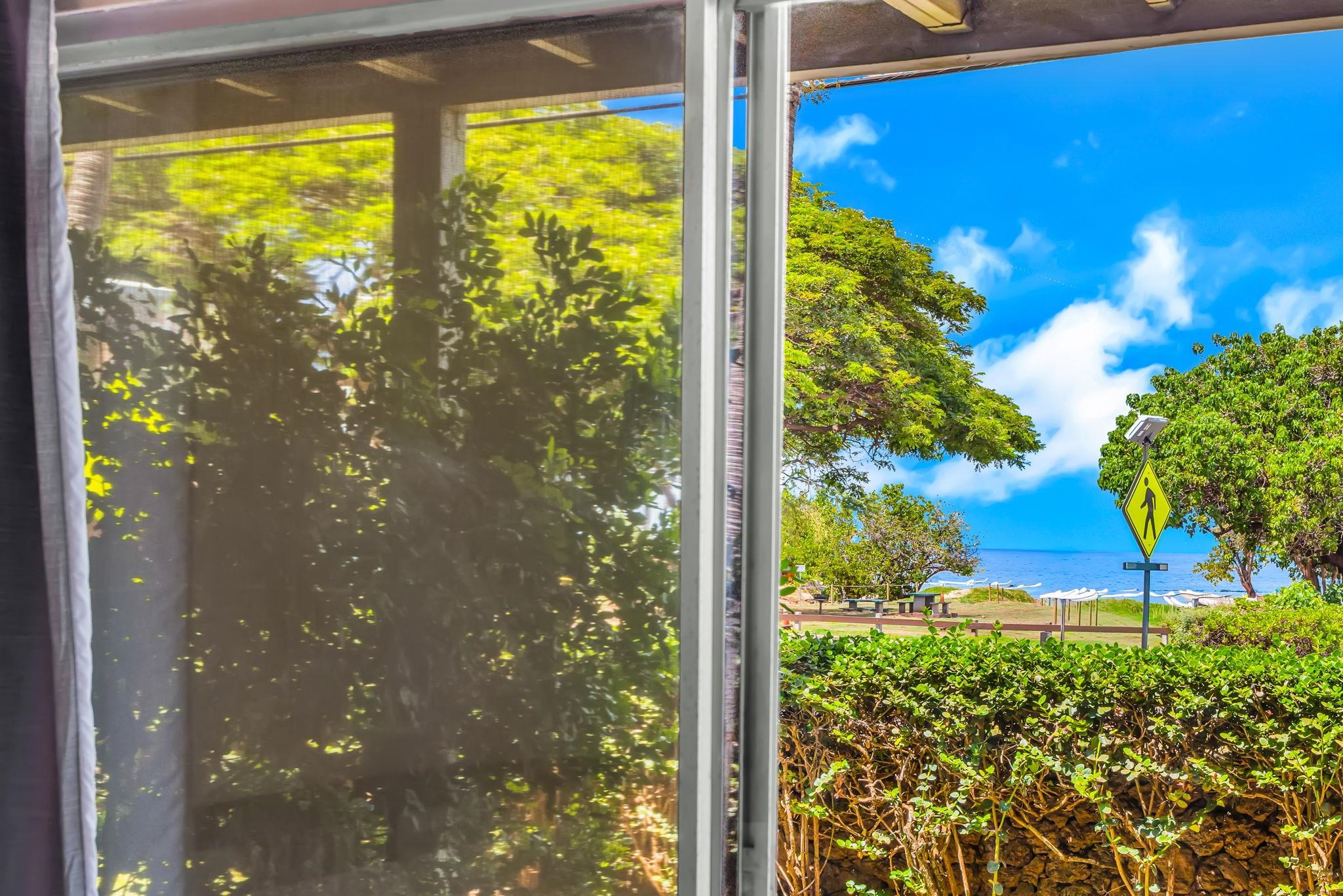 Kihei Bay Surf condo # 103, Kihei, Hawaii - photo 10 of 41