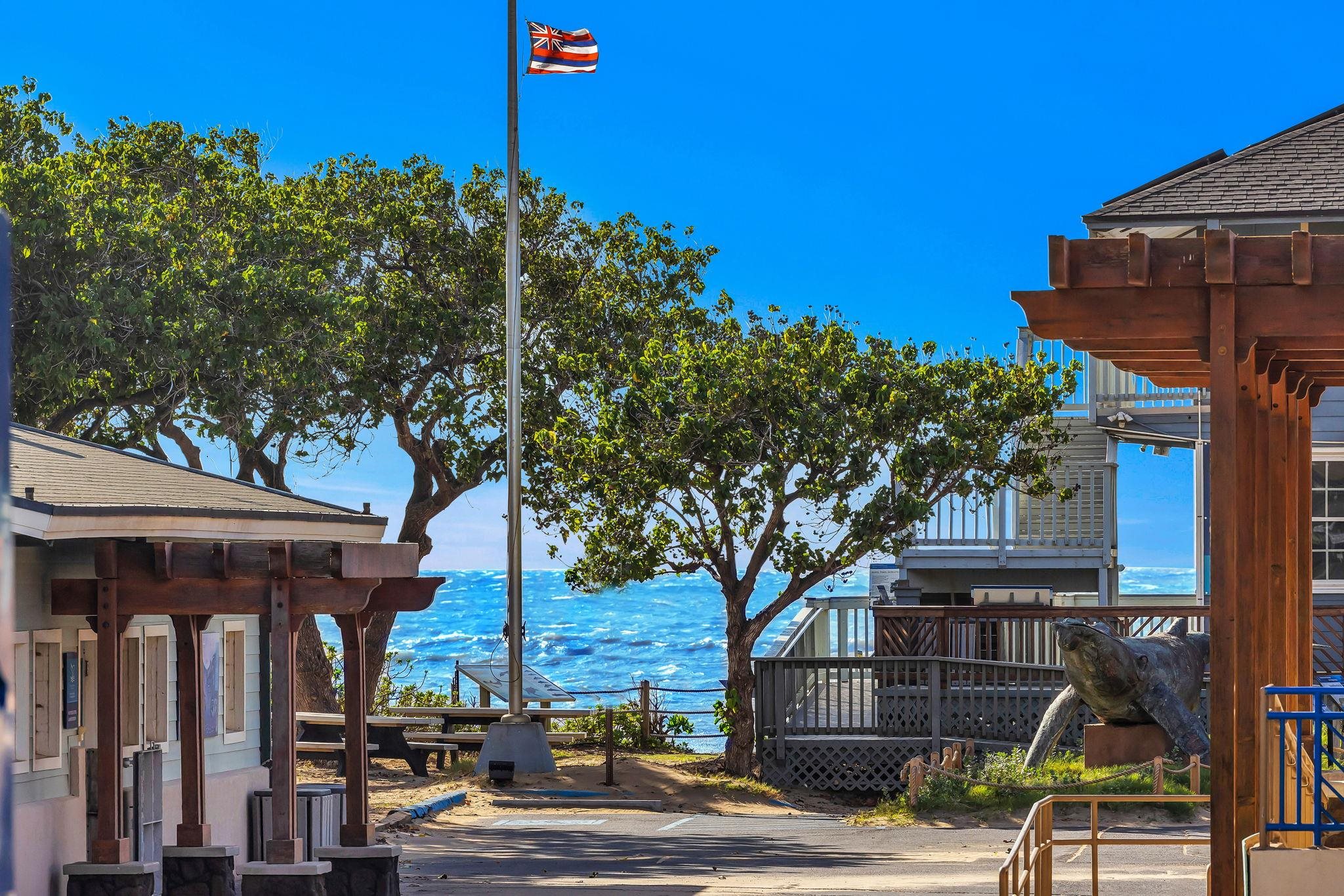Kihei Bay Surf condo # 107, Kihei, Hawaii - photo 13 of 29