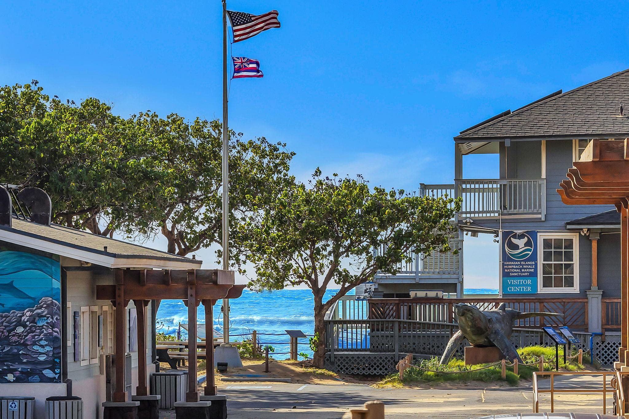 Kihei Bay Surf condo # 107, Kihei, Hawaii - photo 3 of 29