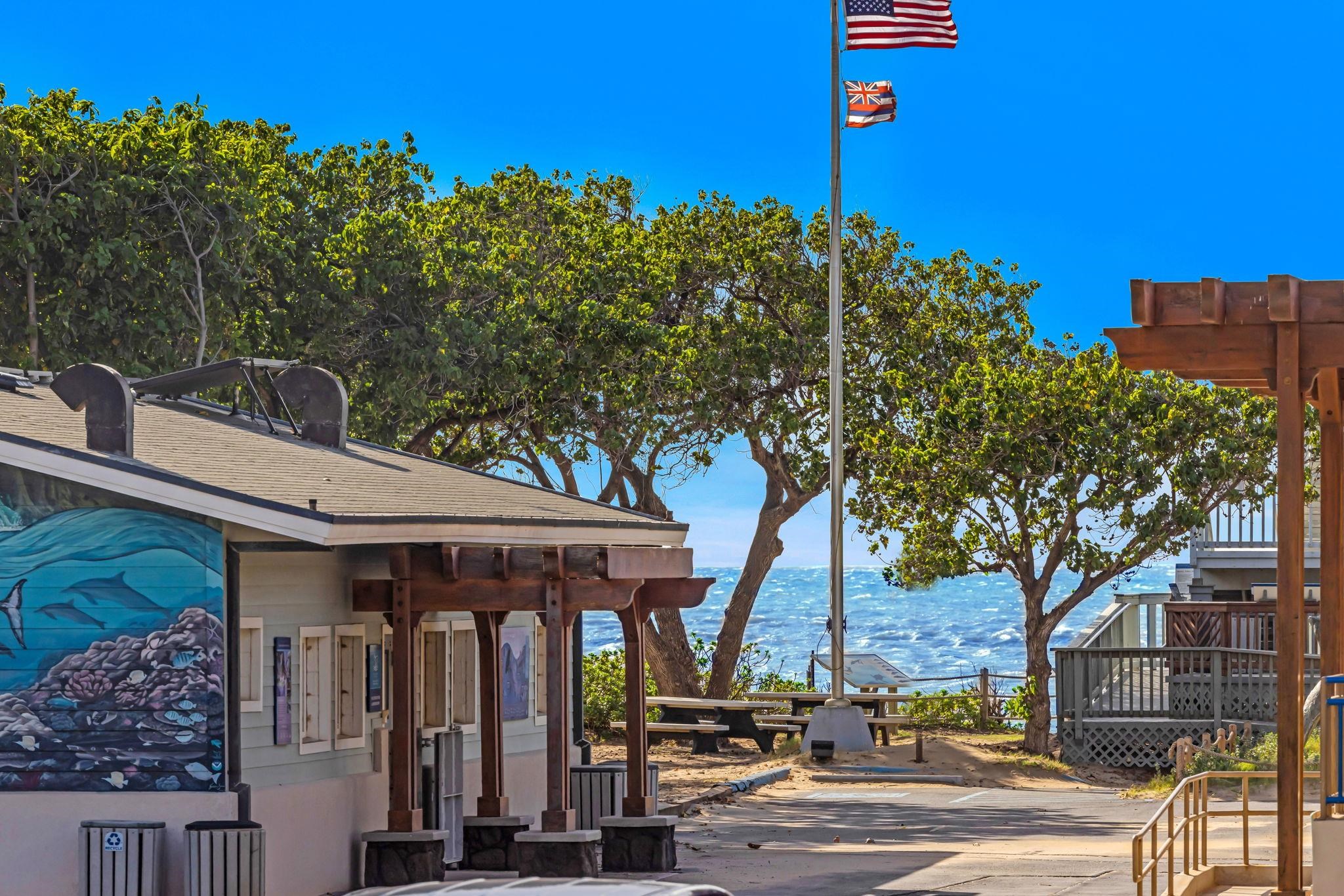 Kihei Bay Surf condo # 107, Kihei, Hawaii - photo 4 of 29